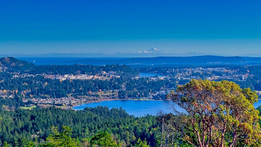 a scenic view of a lake surrounded by trees