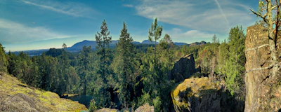 A panoramic view of a dense forest from a high vantage point
