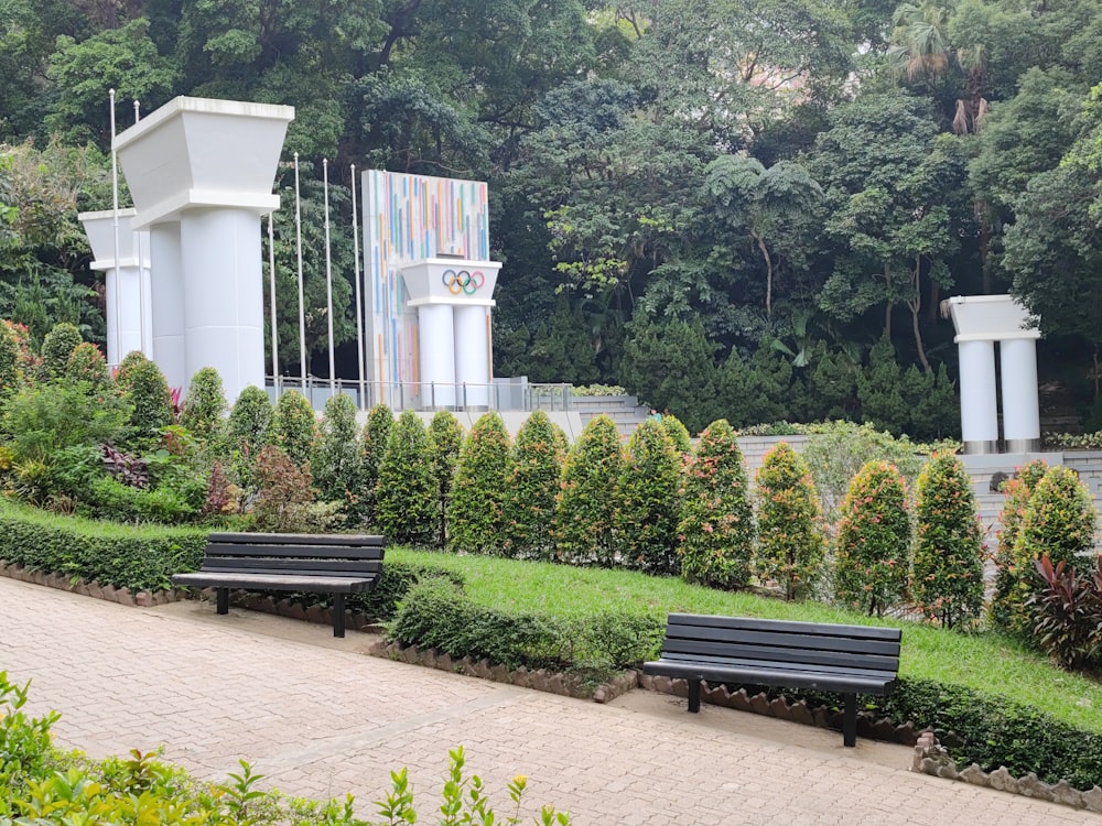 a row of benches sitting next to a lush green park