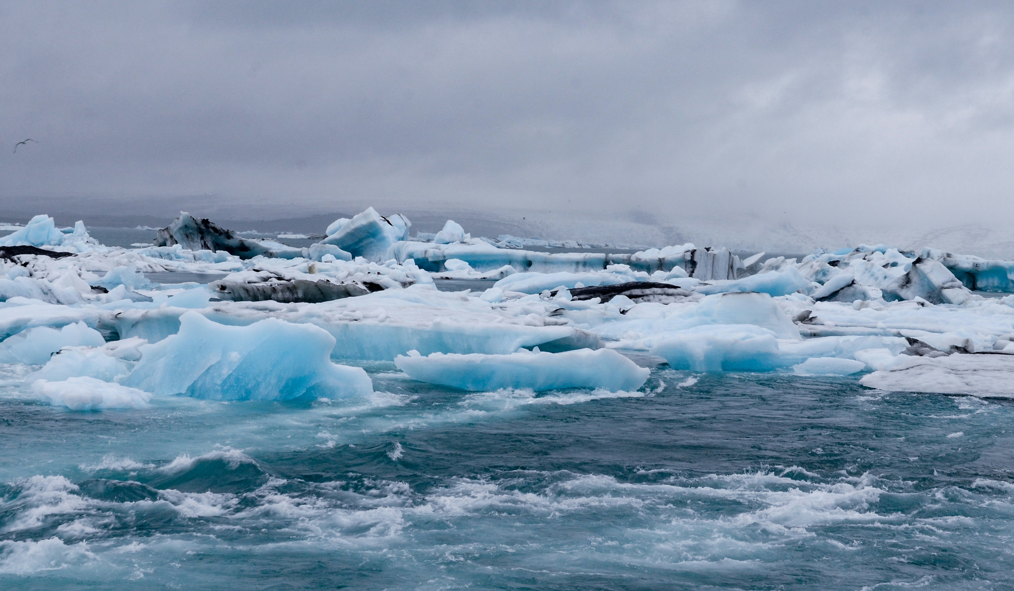 Photo by ninasingiri