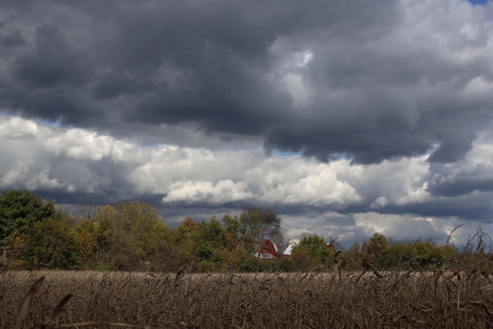 a field with a house in the distance under a cloudy sky