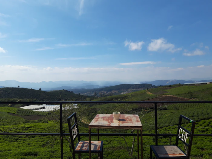 Rooftop Cafes