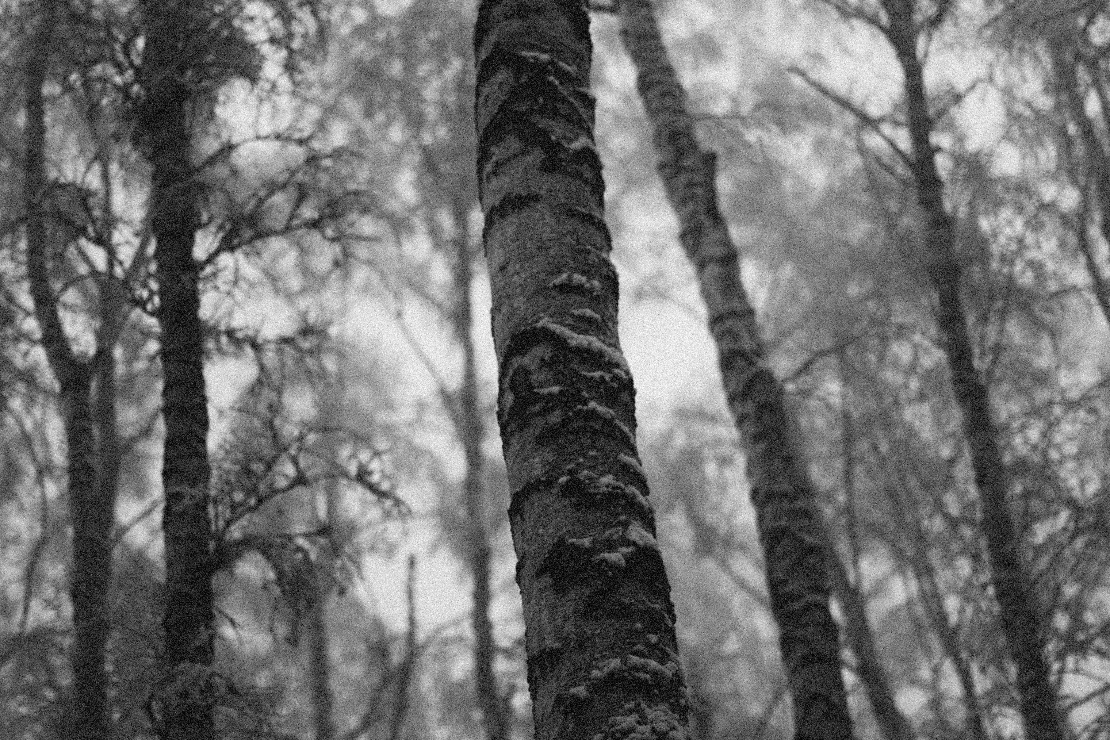 Photo by alexeydemidov