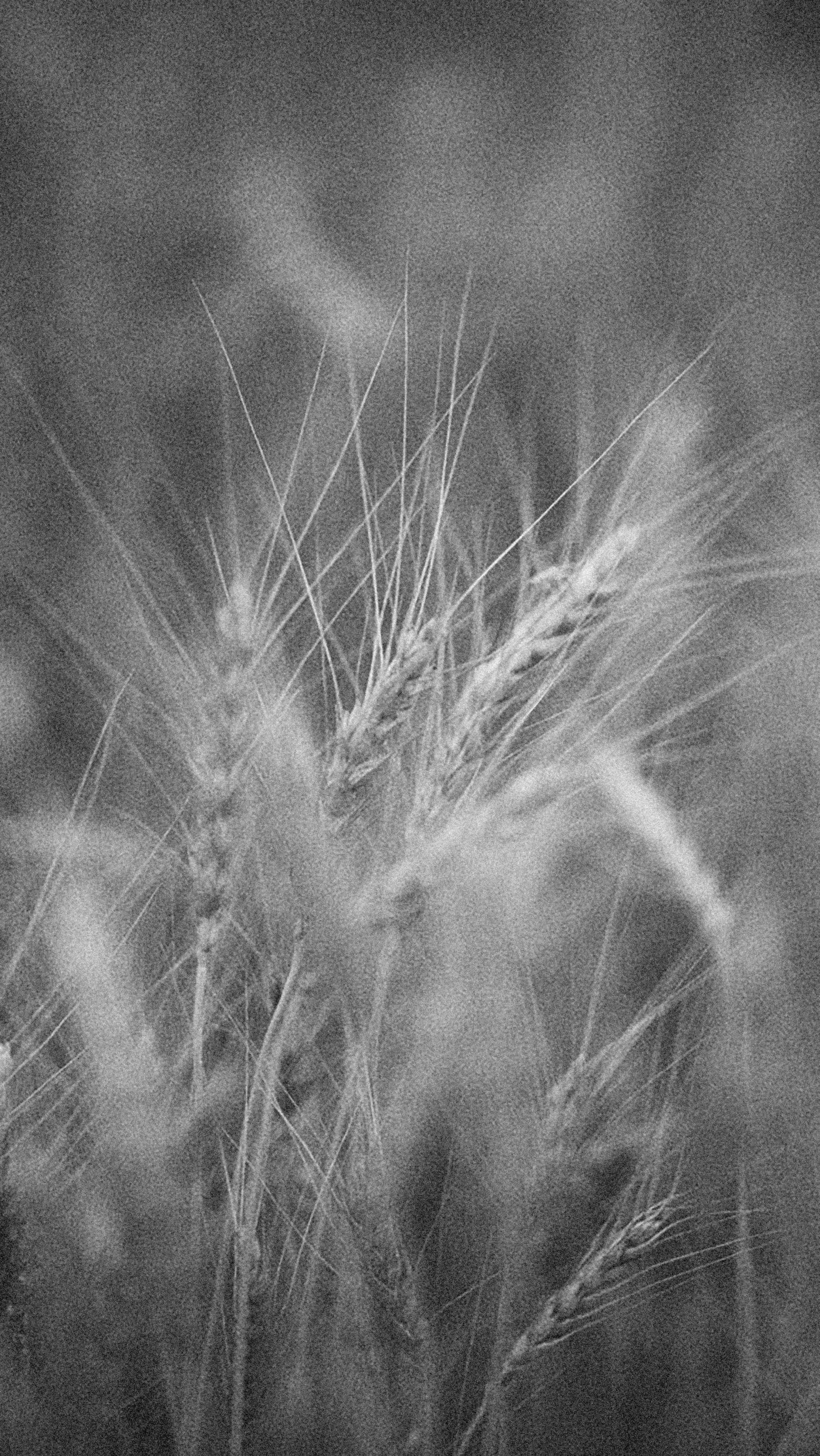 Photo by alexeydemidov