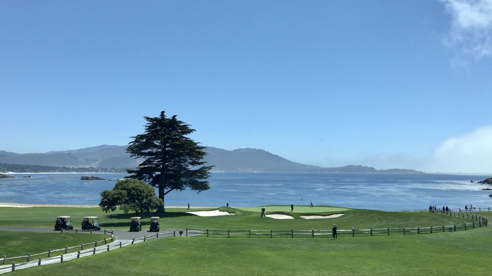 a view of a golf course with a lake in the background