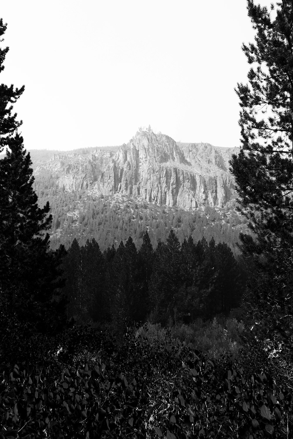 a black and white photo of a mountain