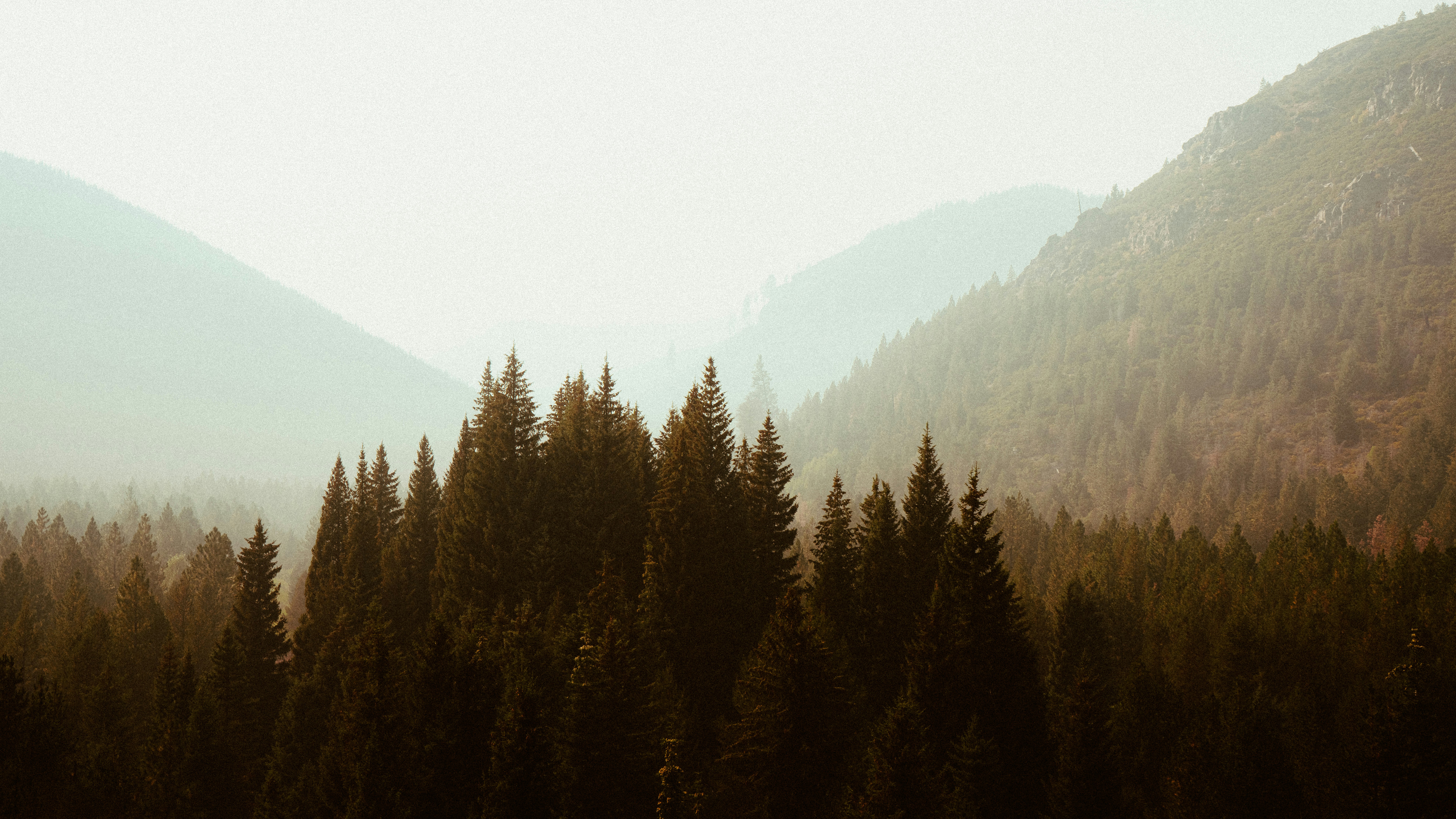 Photo by anewevisual