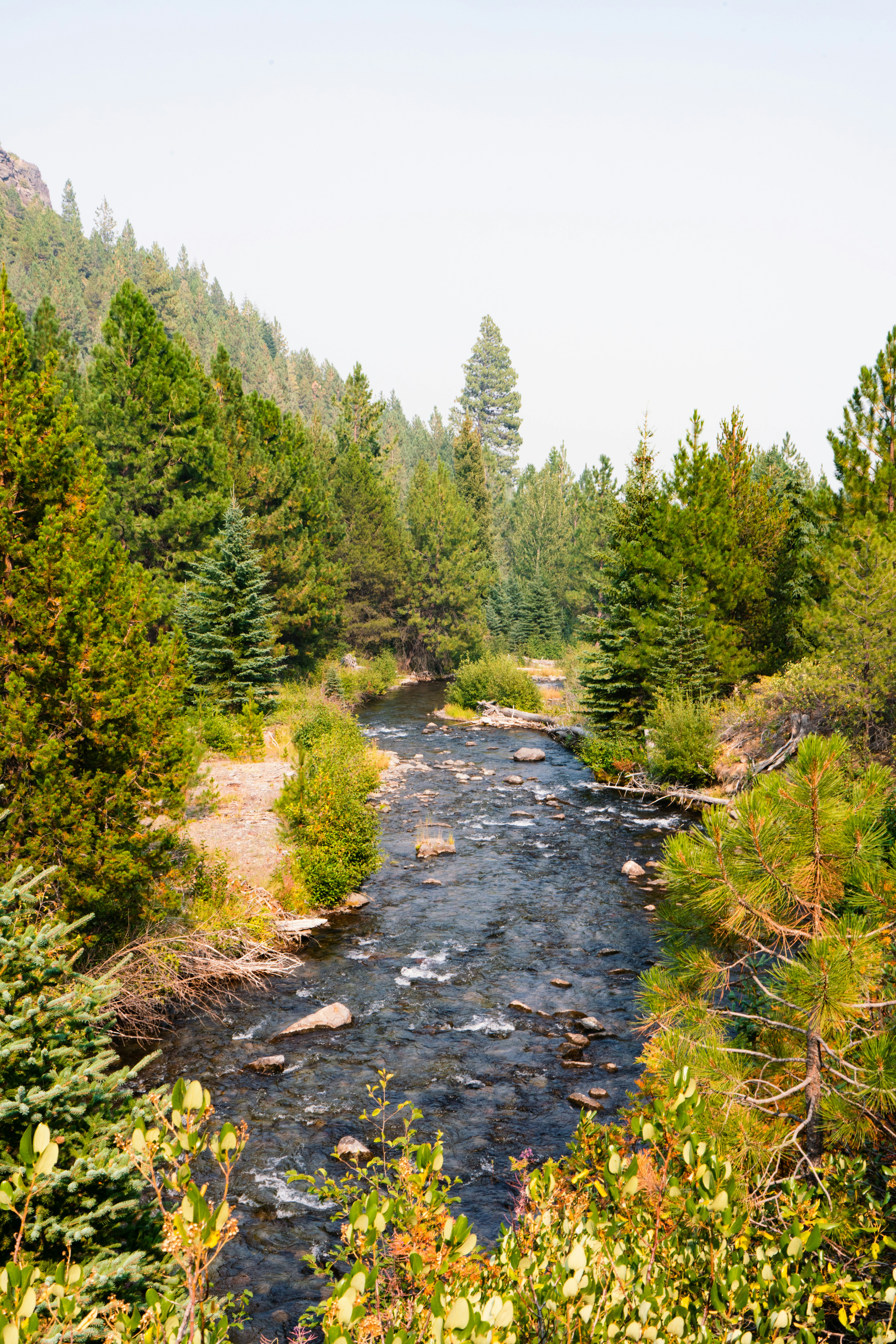 Photo by anewevisual