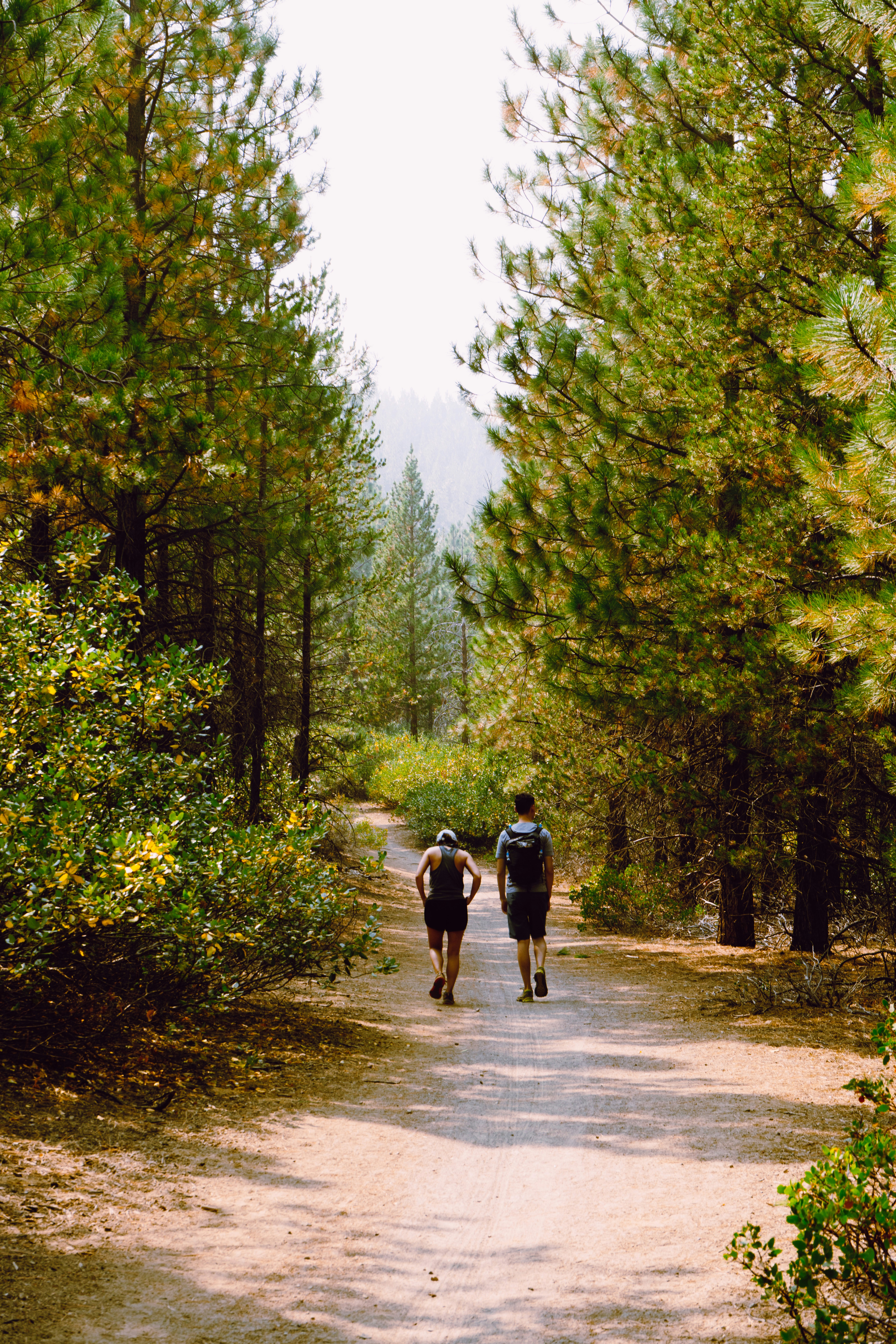 Photo by anewevisual