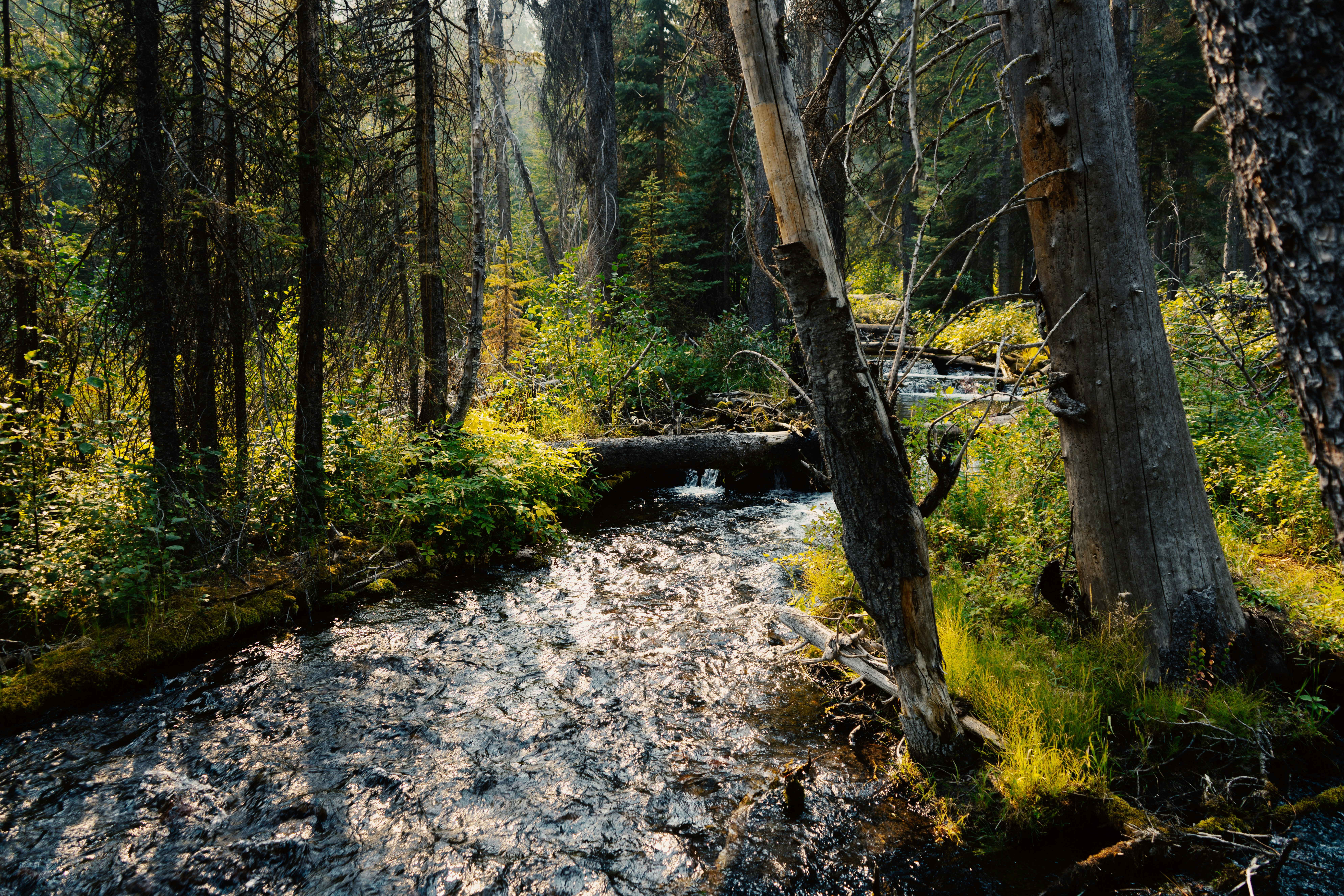 Photo by anewevisual