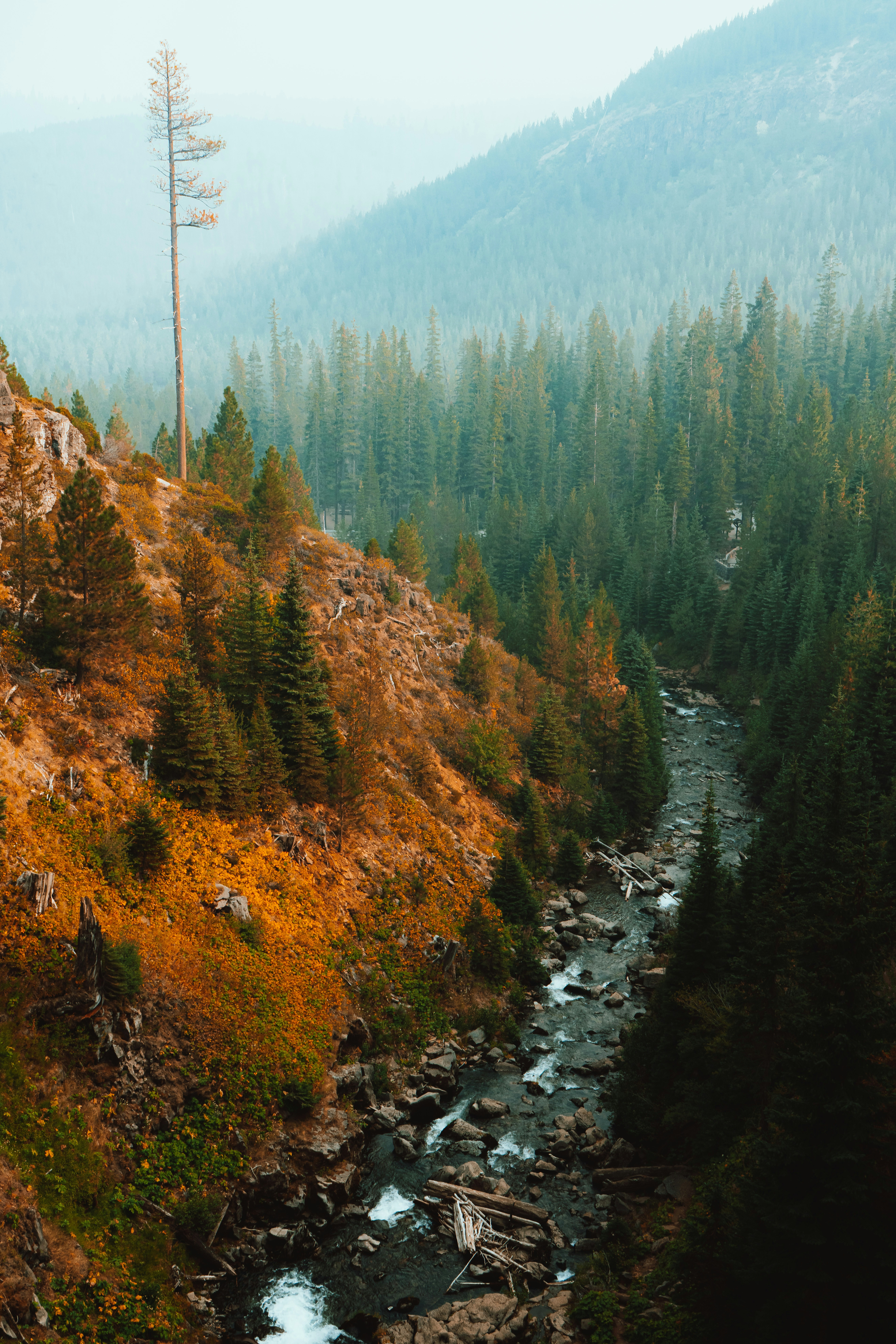 Photo by anewevisual