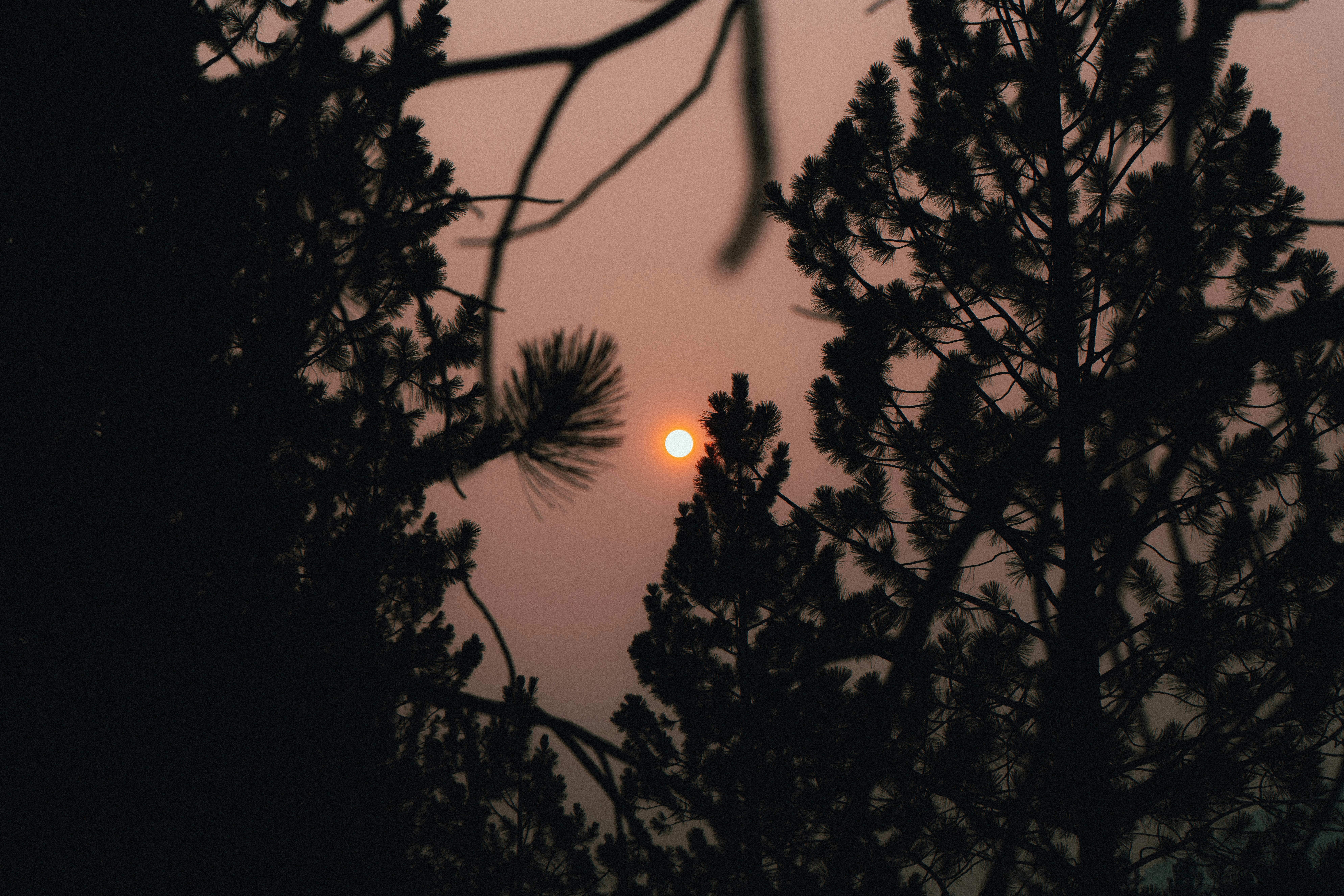 Photo by anewevisual