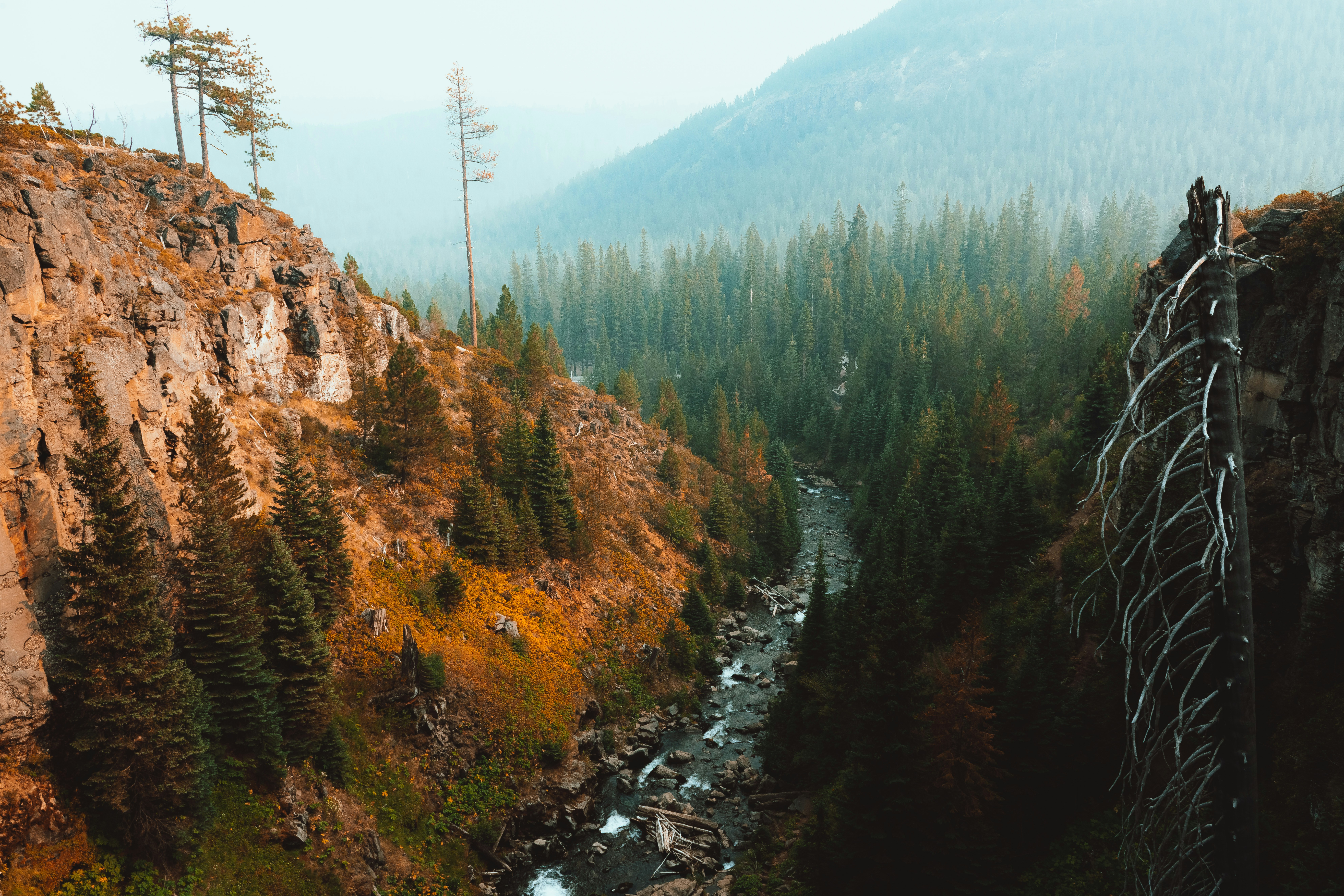 Photo by anewevisual