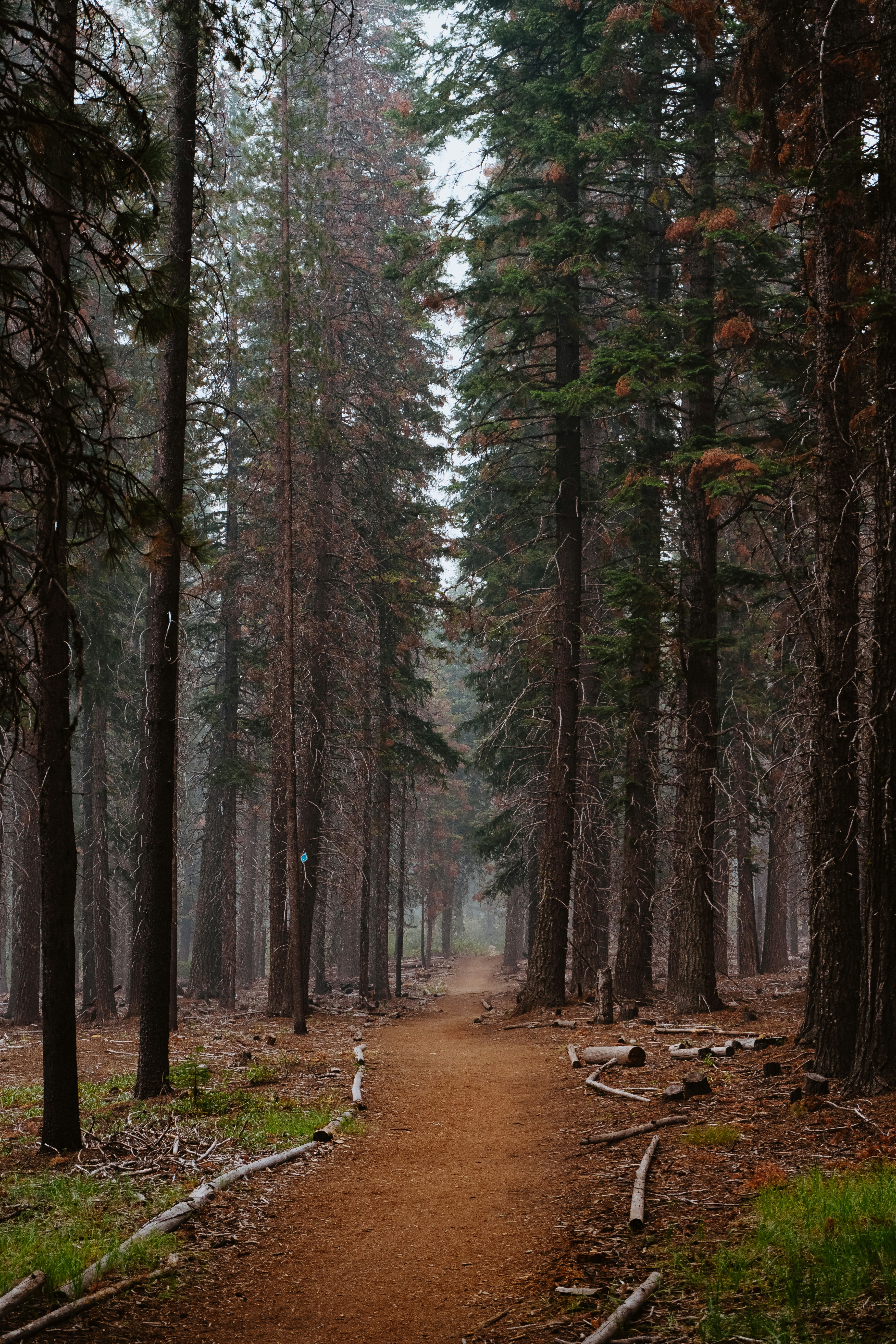 Photo by anewevisual