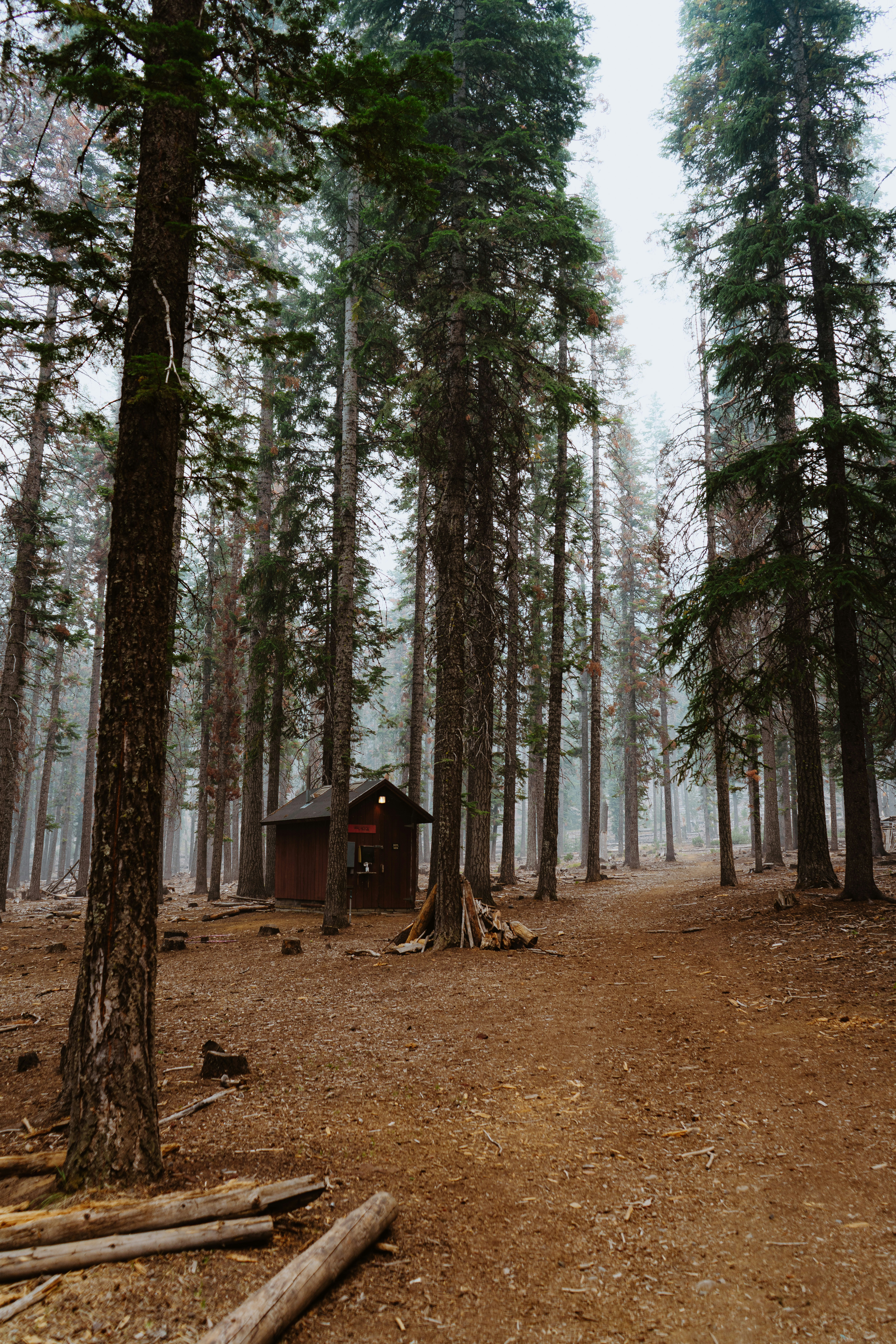 Photo by anewevisual