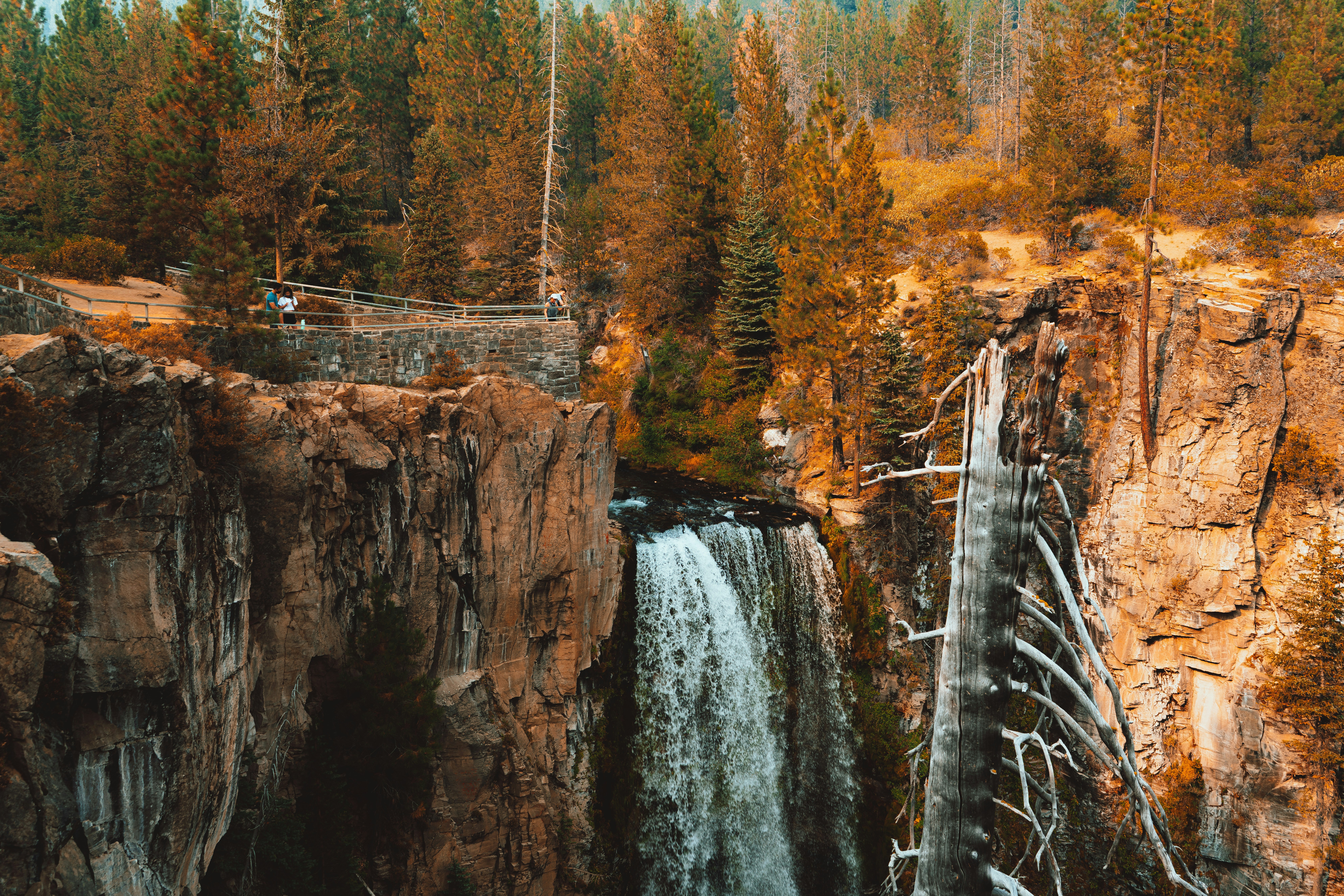 Photo by anewevisual