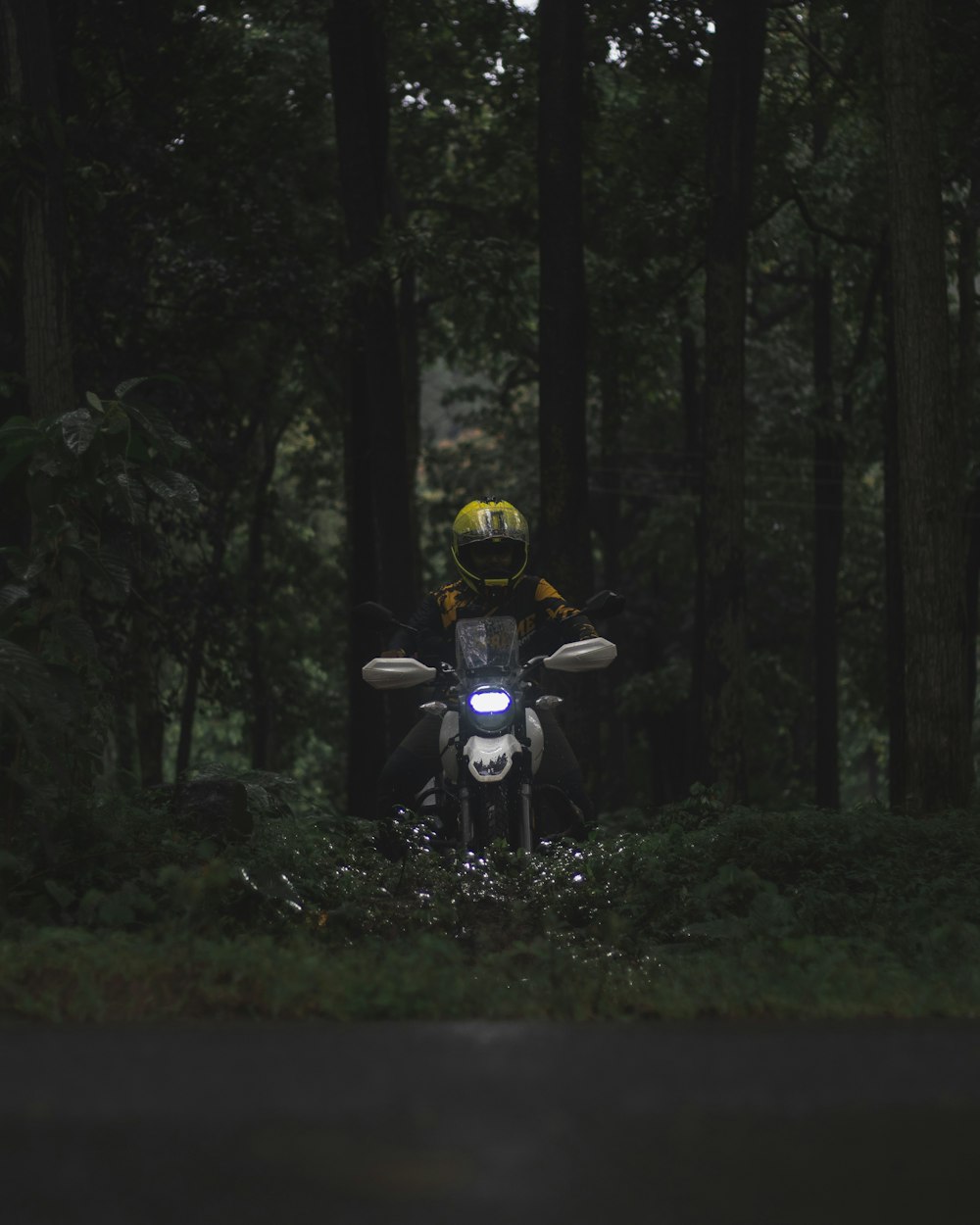 a person riding a motorcycle through a forest