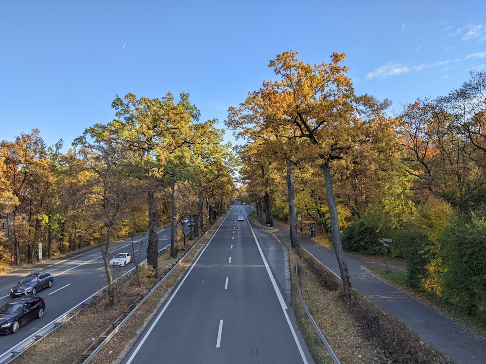 a car driving down a road surrounded by trees