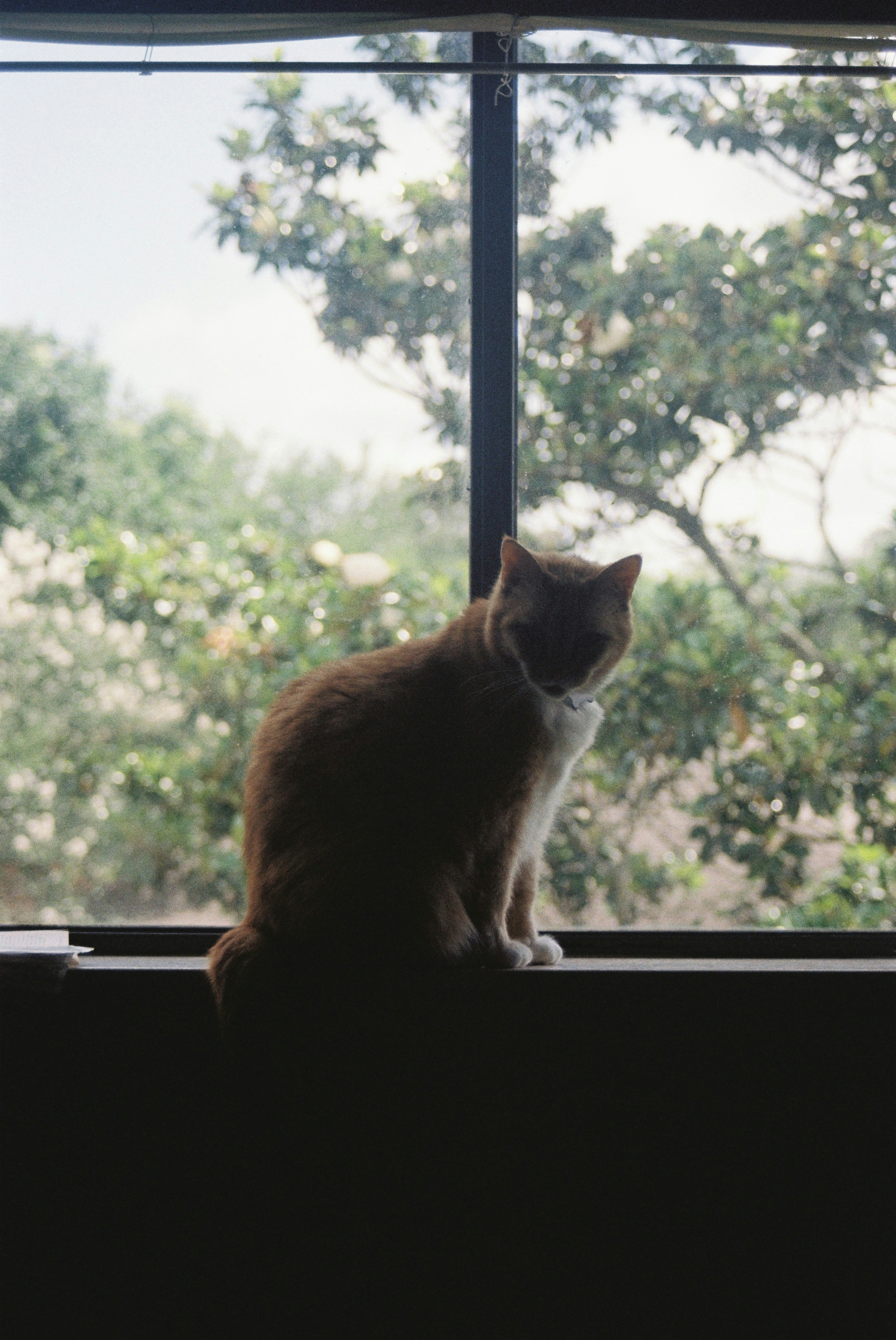 Photo by anewevisual