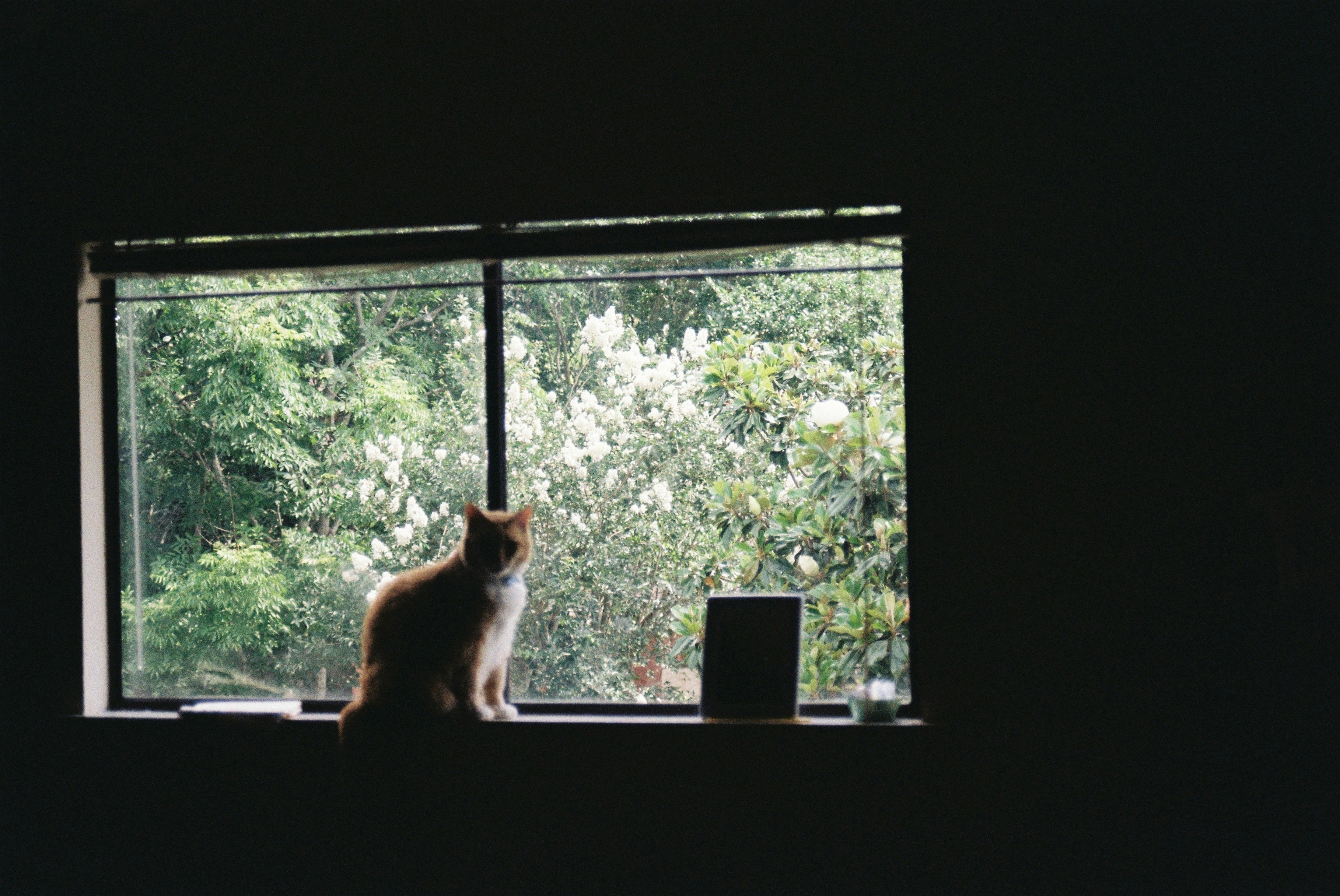 Photo by anewevisual