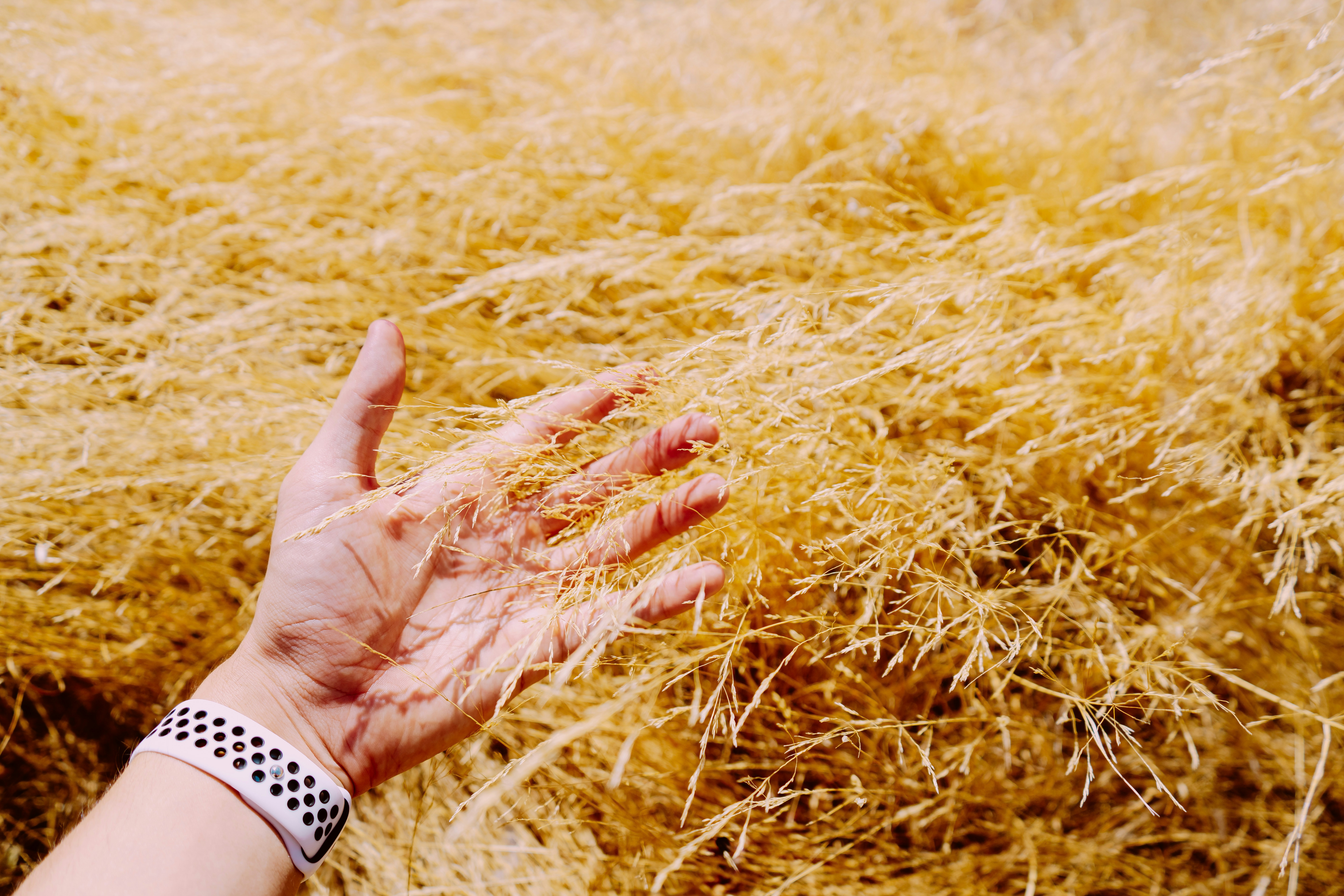 50 Inspiring Farmer Quotes in English to Touch Your Heart