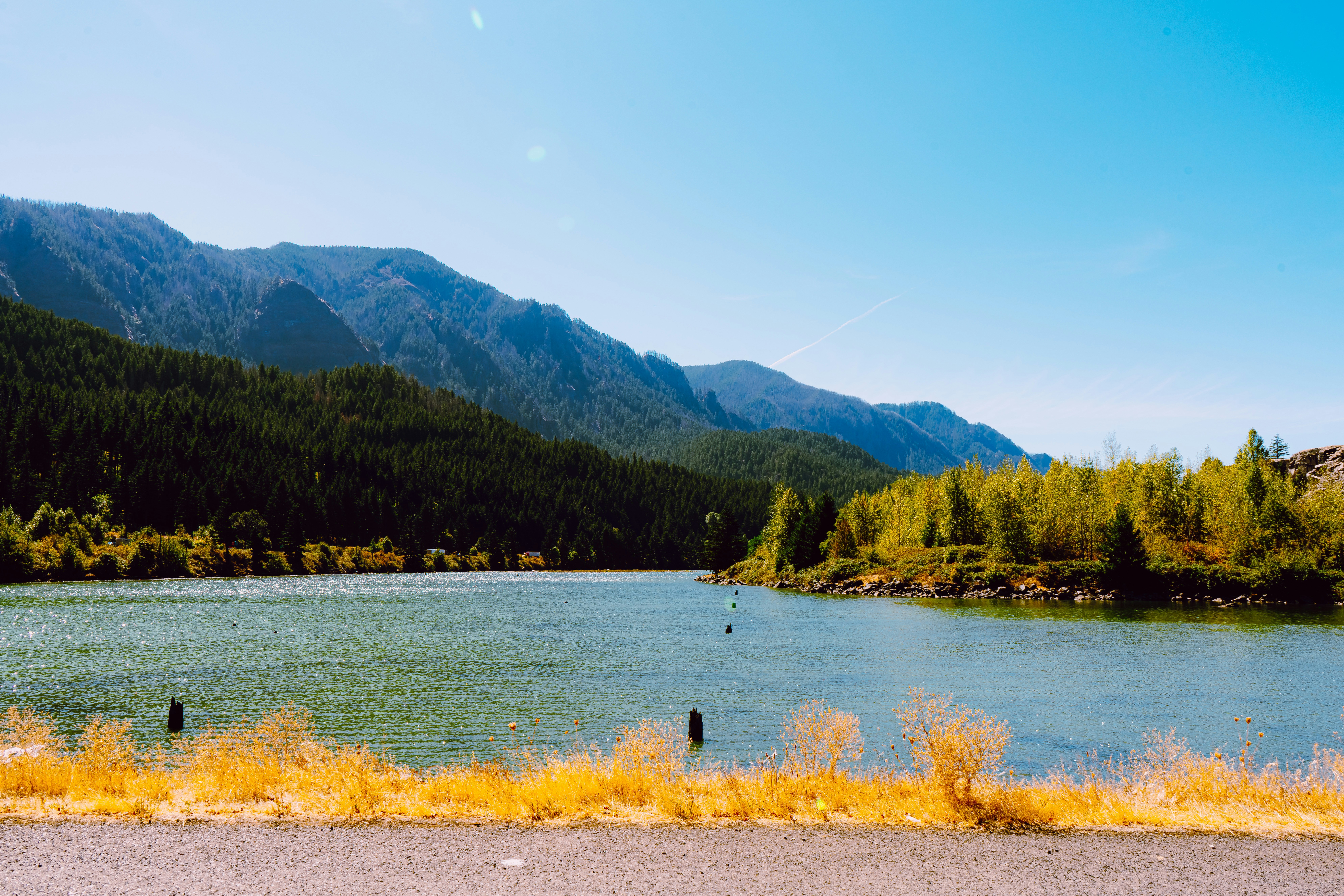 Photo by anewevisual