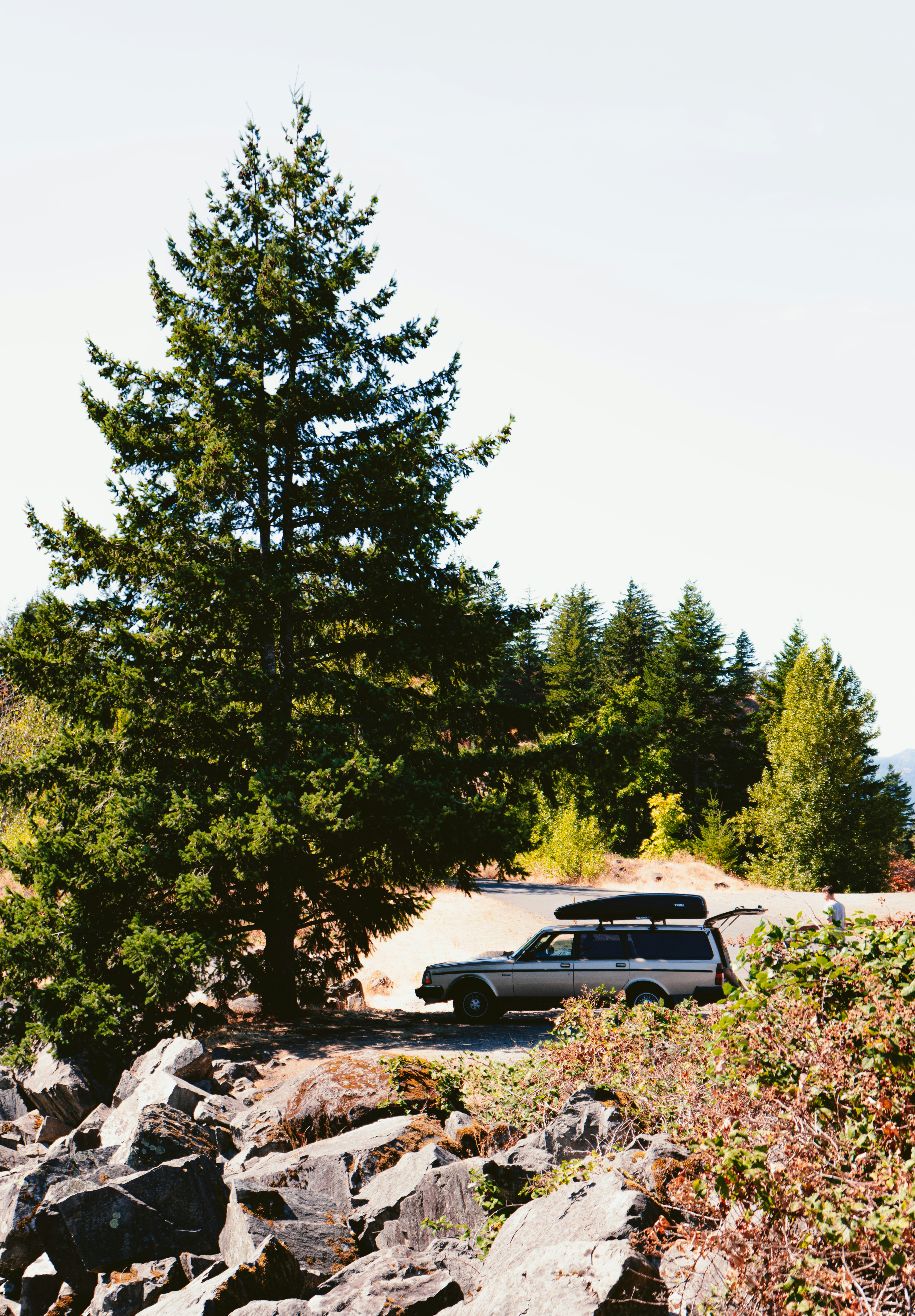 Photo by anewevisual