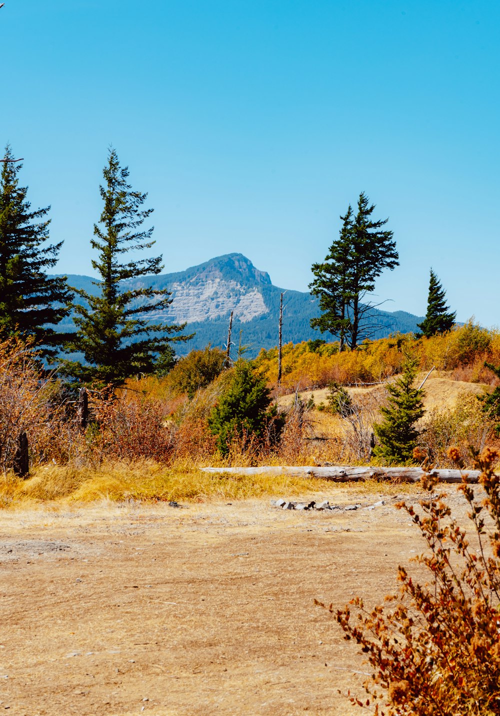 a dirt field with trees and a mountain in the background