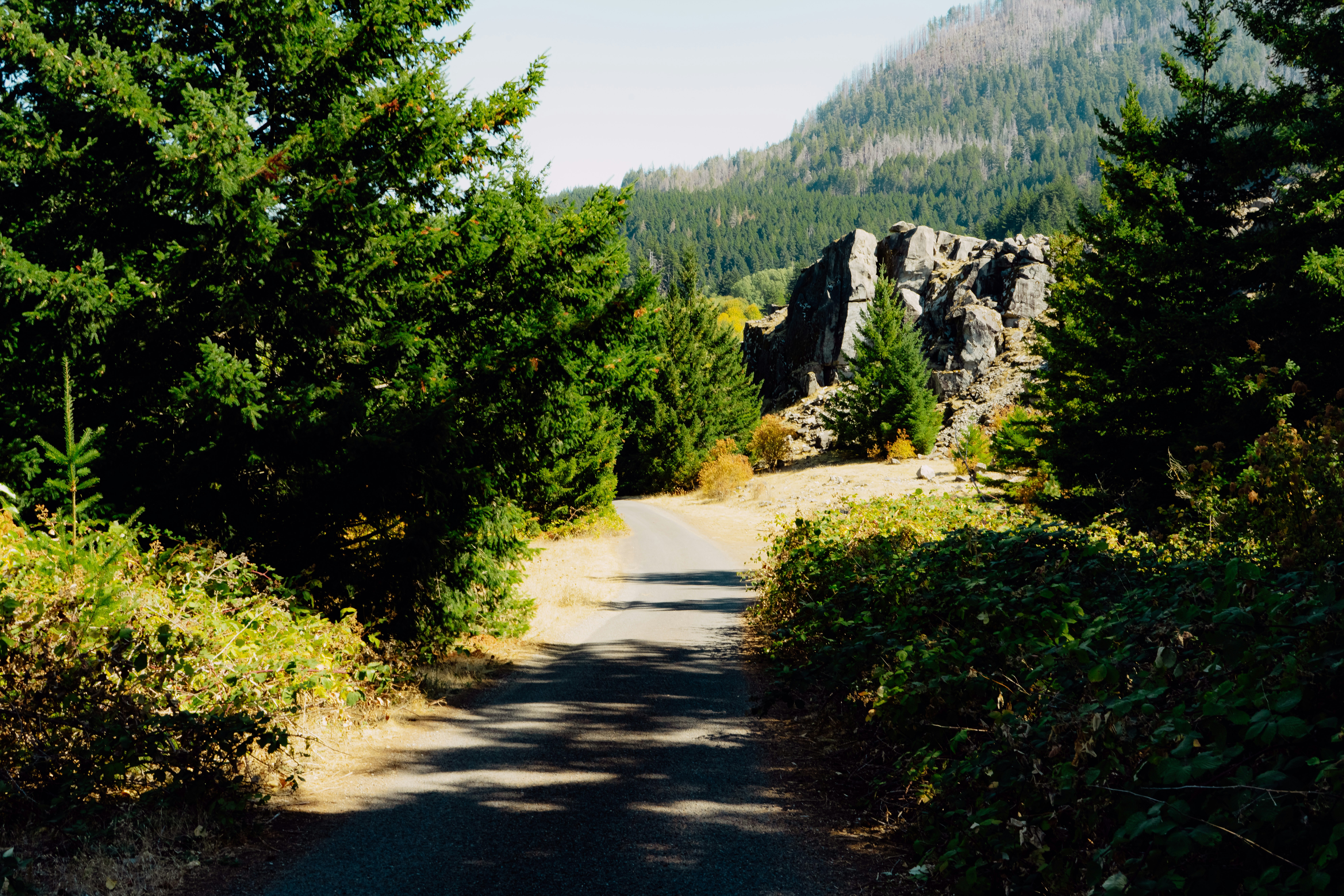 a dirt road surrounded by trees and mountains