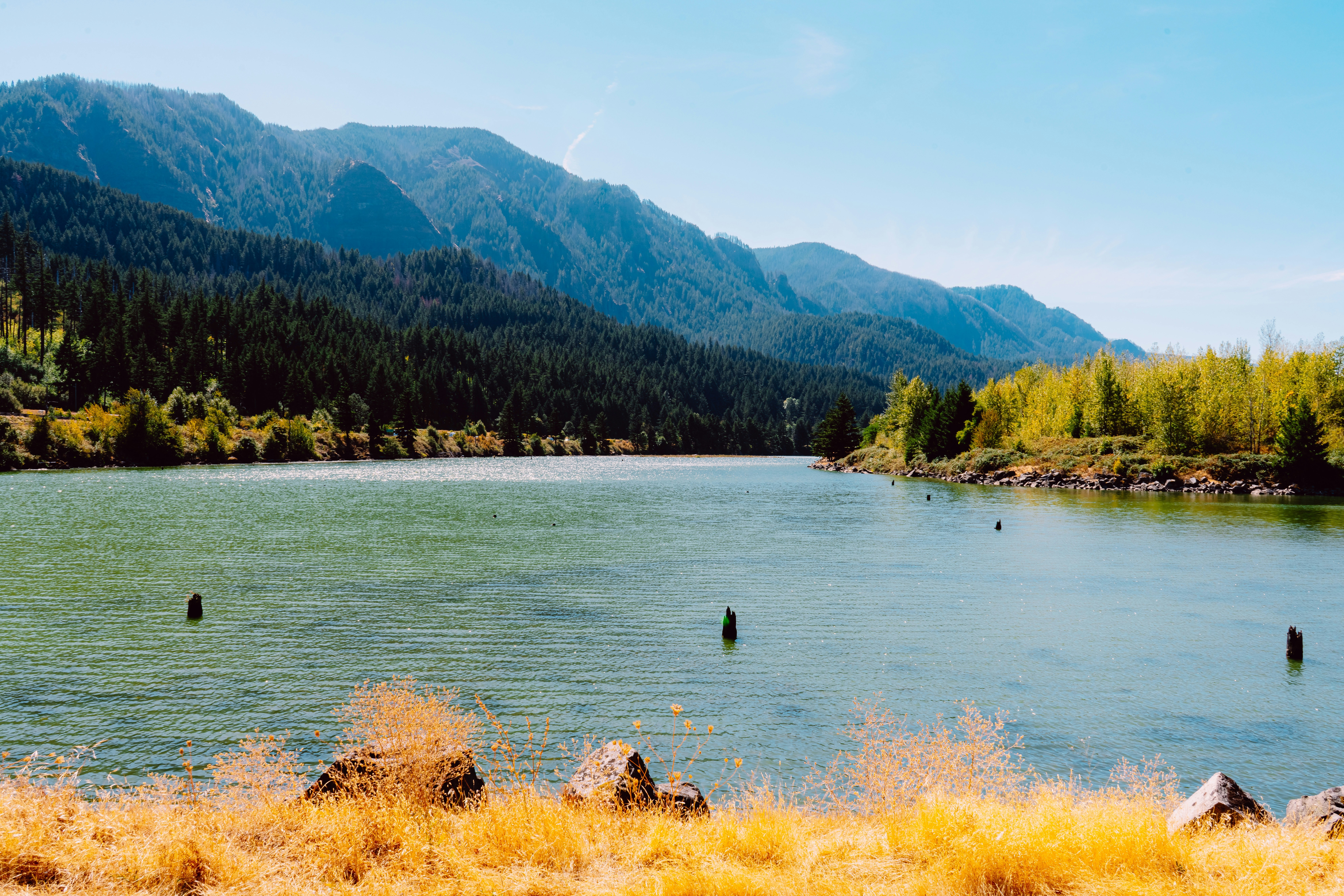 Photo by anewevisual