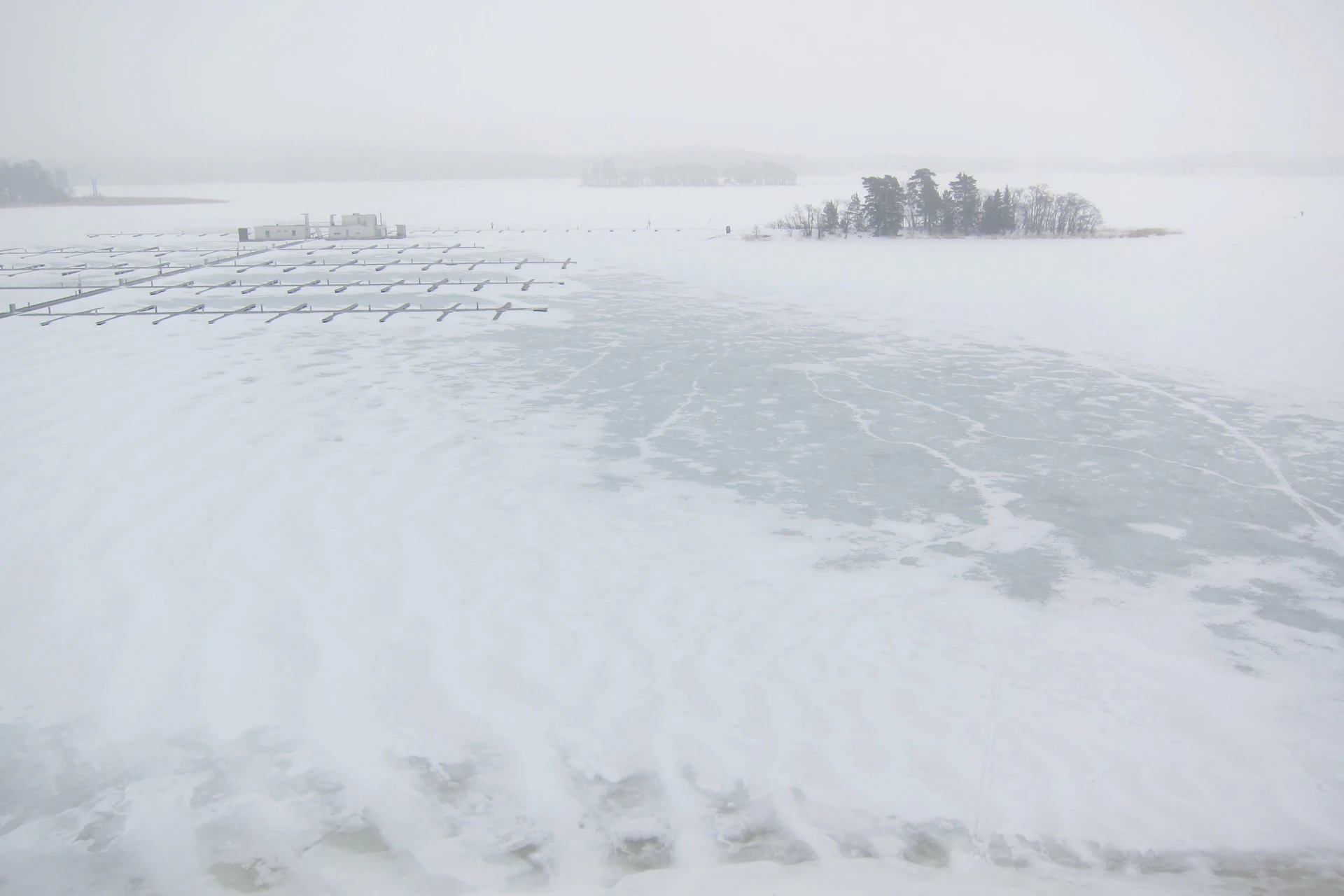a snow covered field with a lot of trees