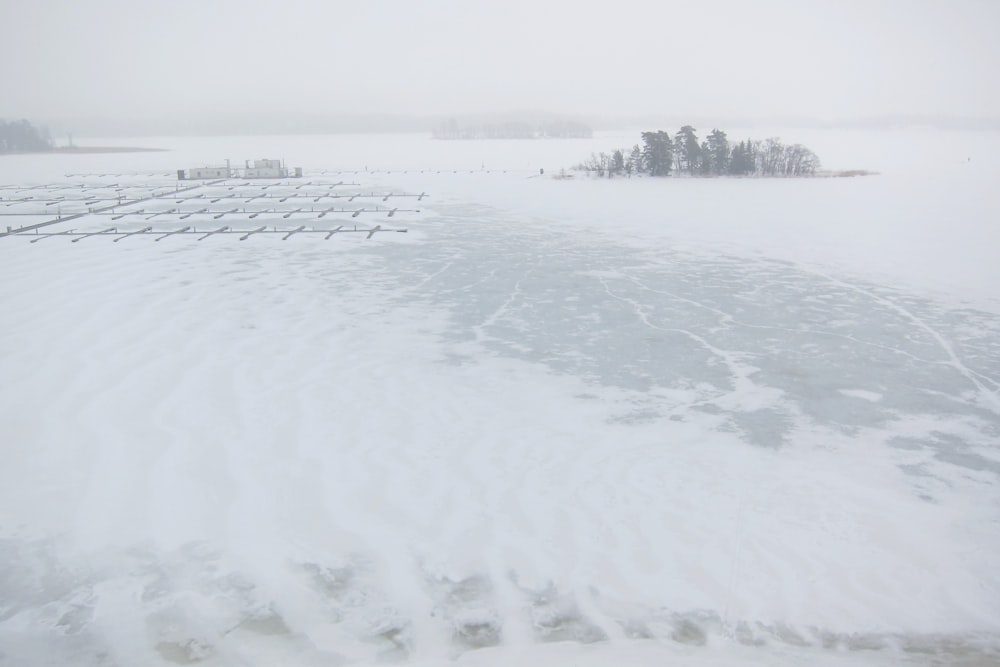 a snow covered field with a lot of trees