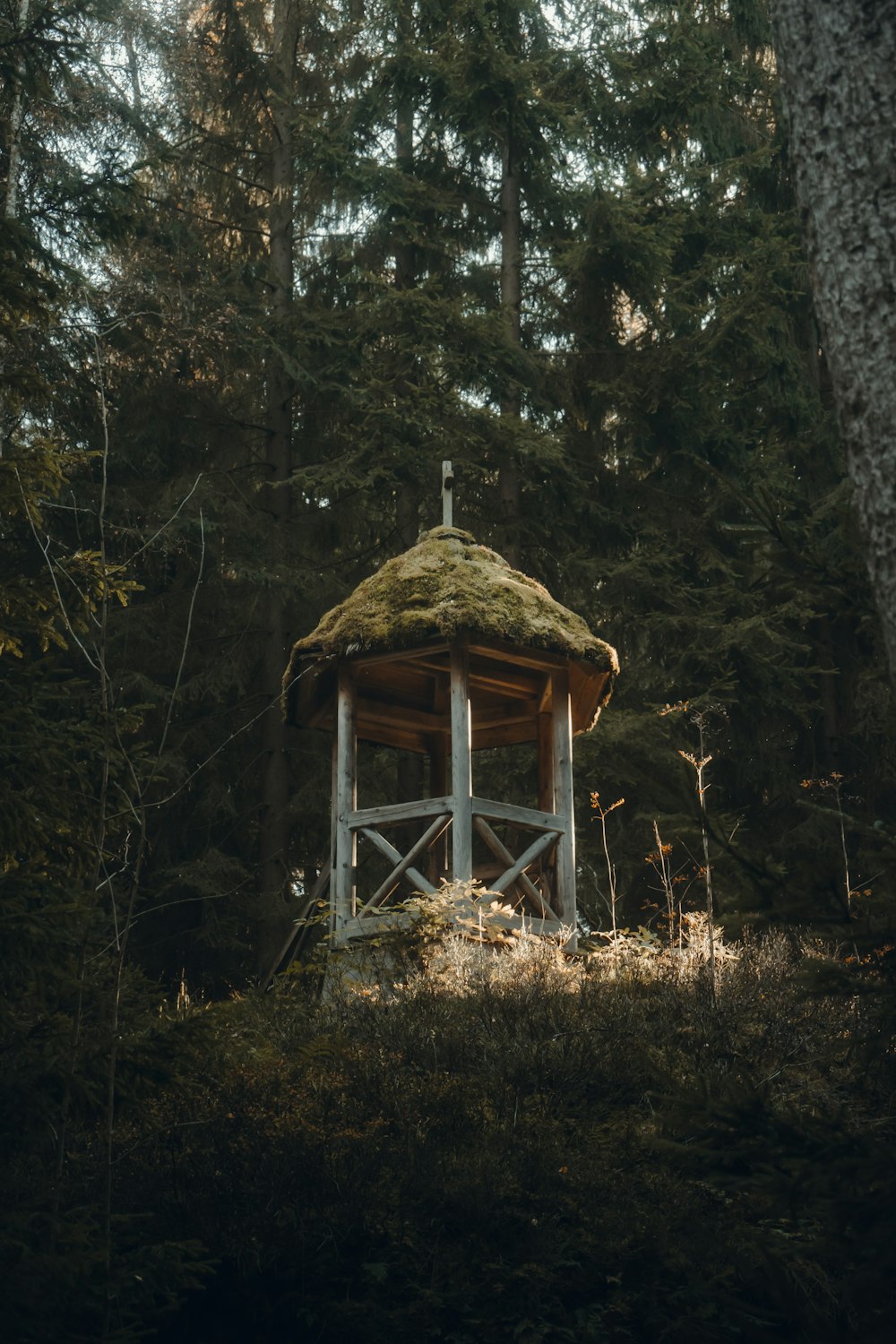 a small wooden structure in the middle of a forest