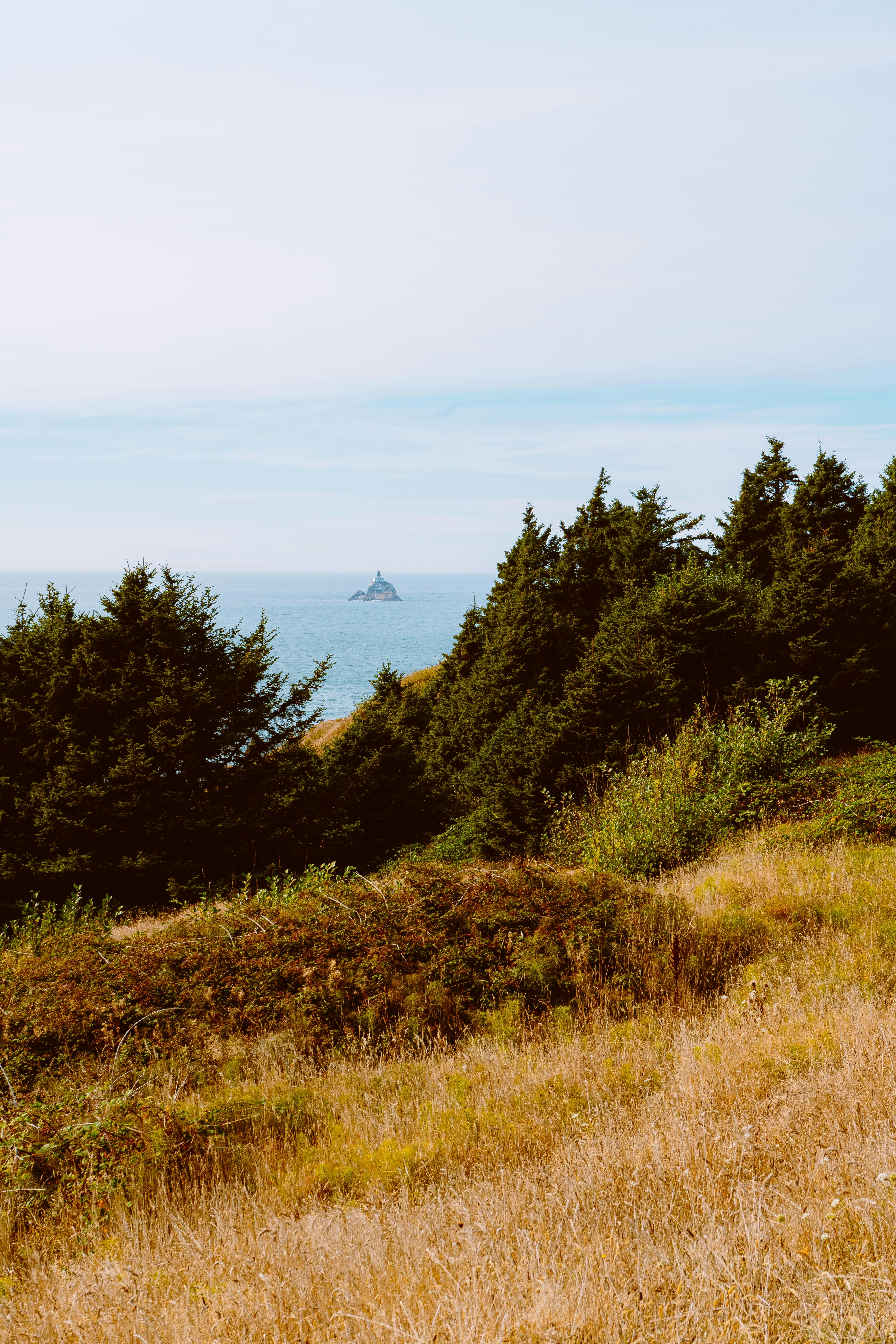 Photo by anewevisual