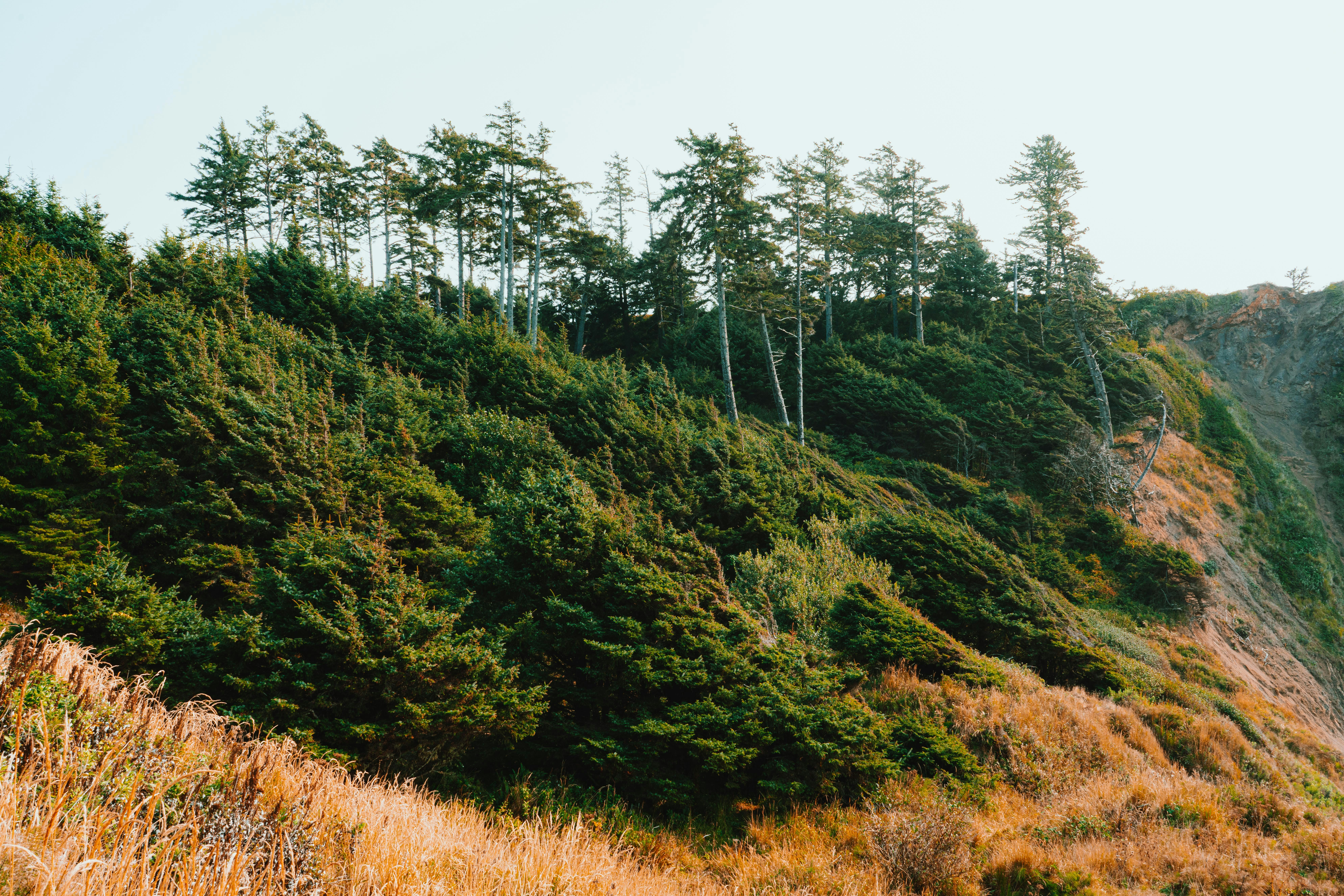 Photo by anewevisual