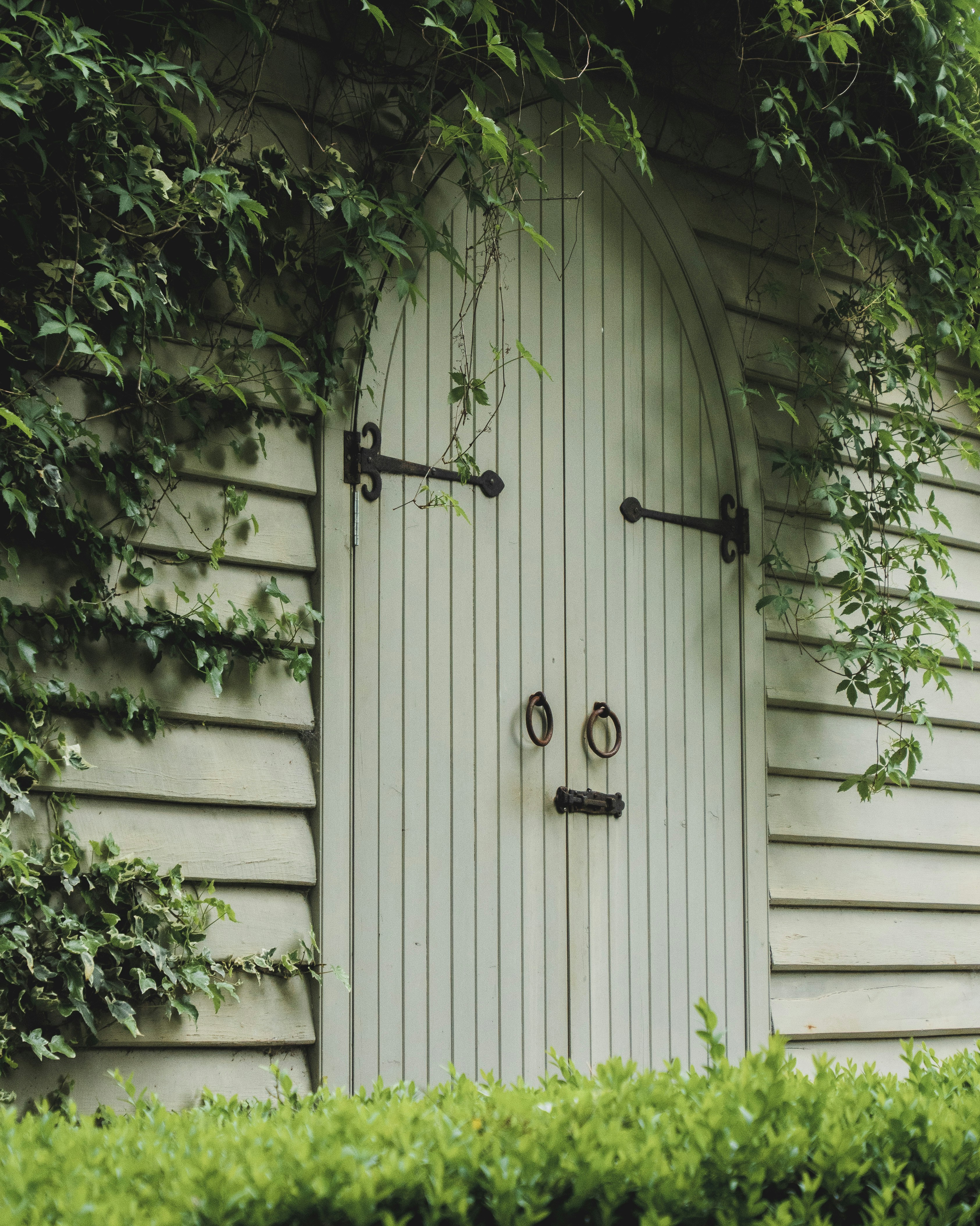 Green garden doors with foliage