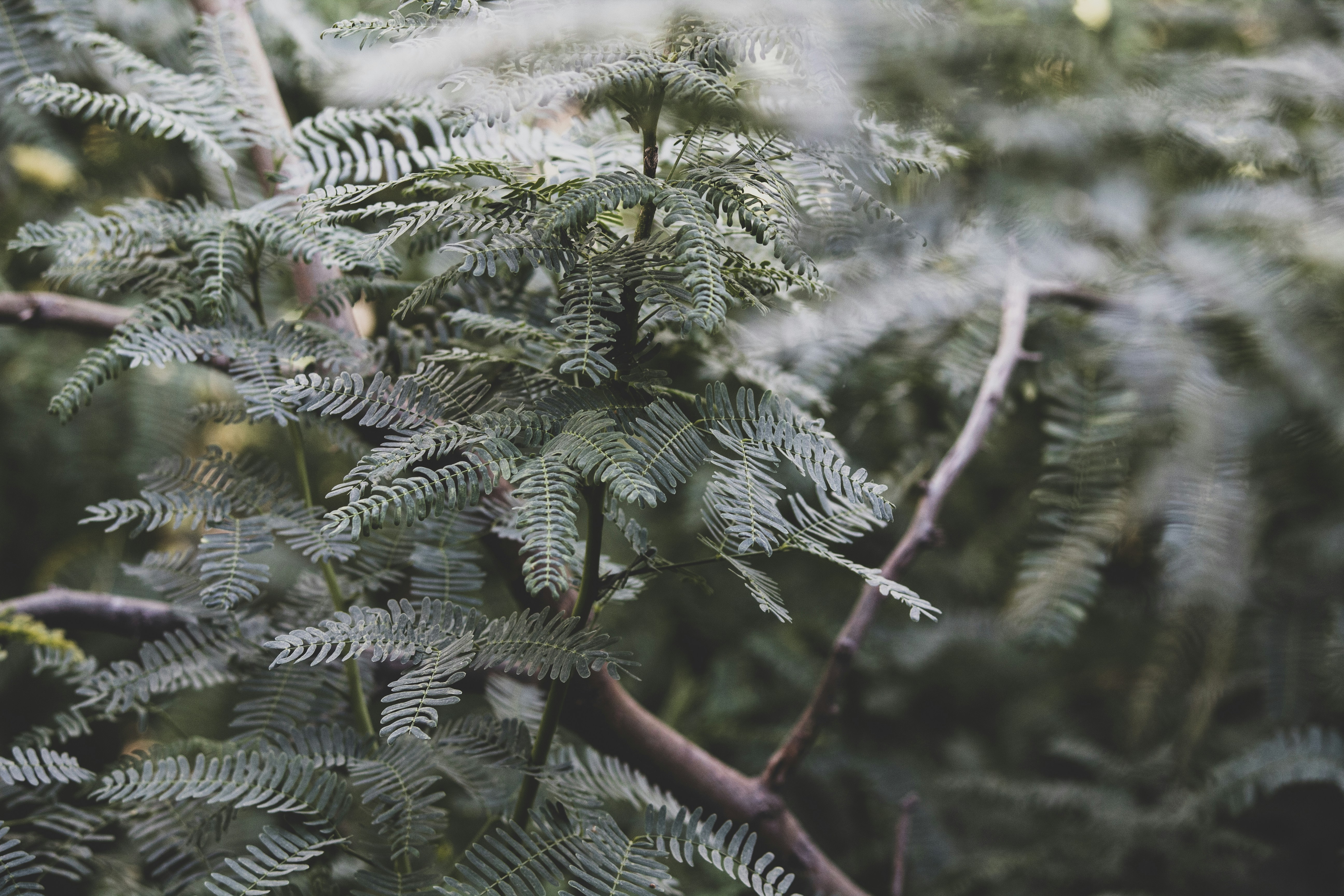 Photo by sonilakshya0177