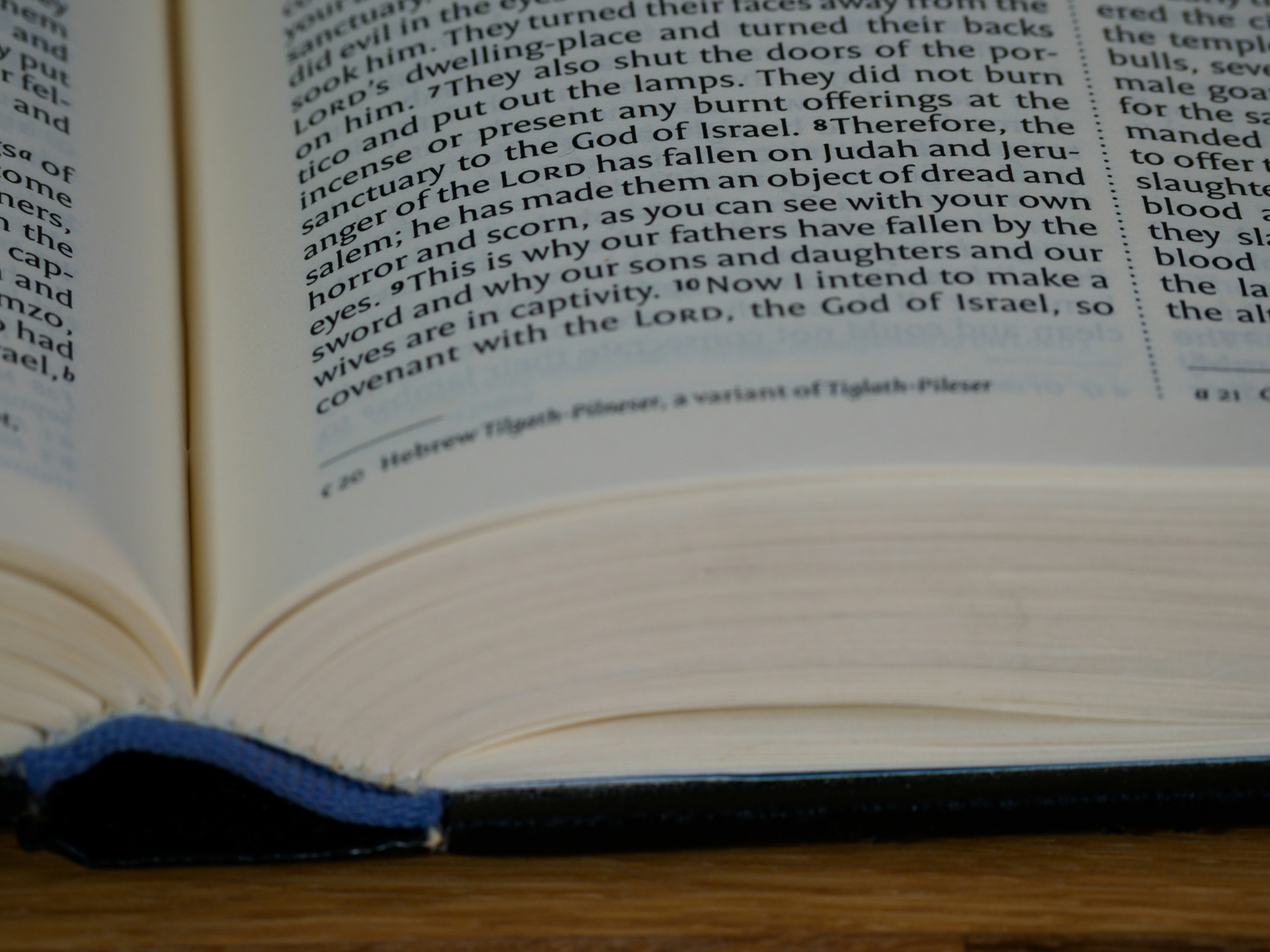 Photo by brett_jordan