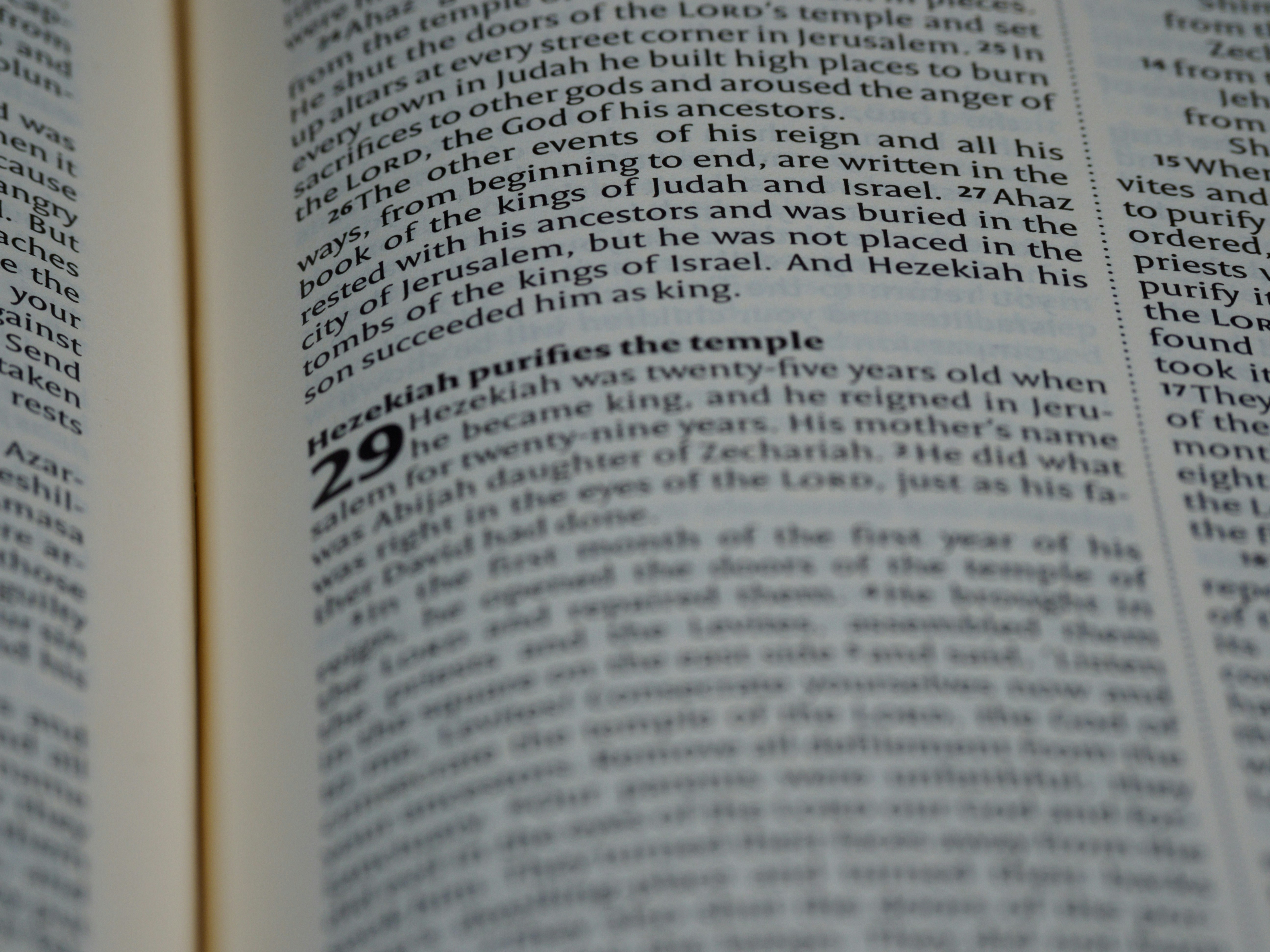 Photo by brett_jordan