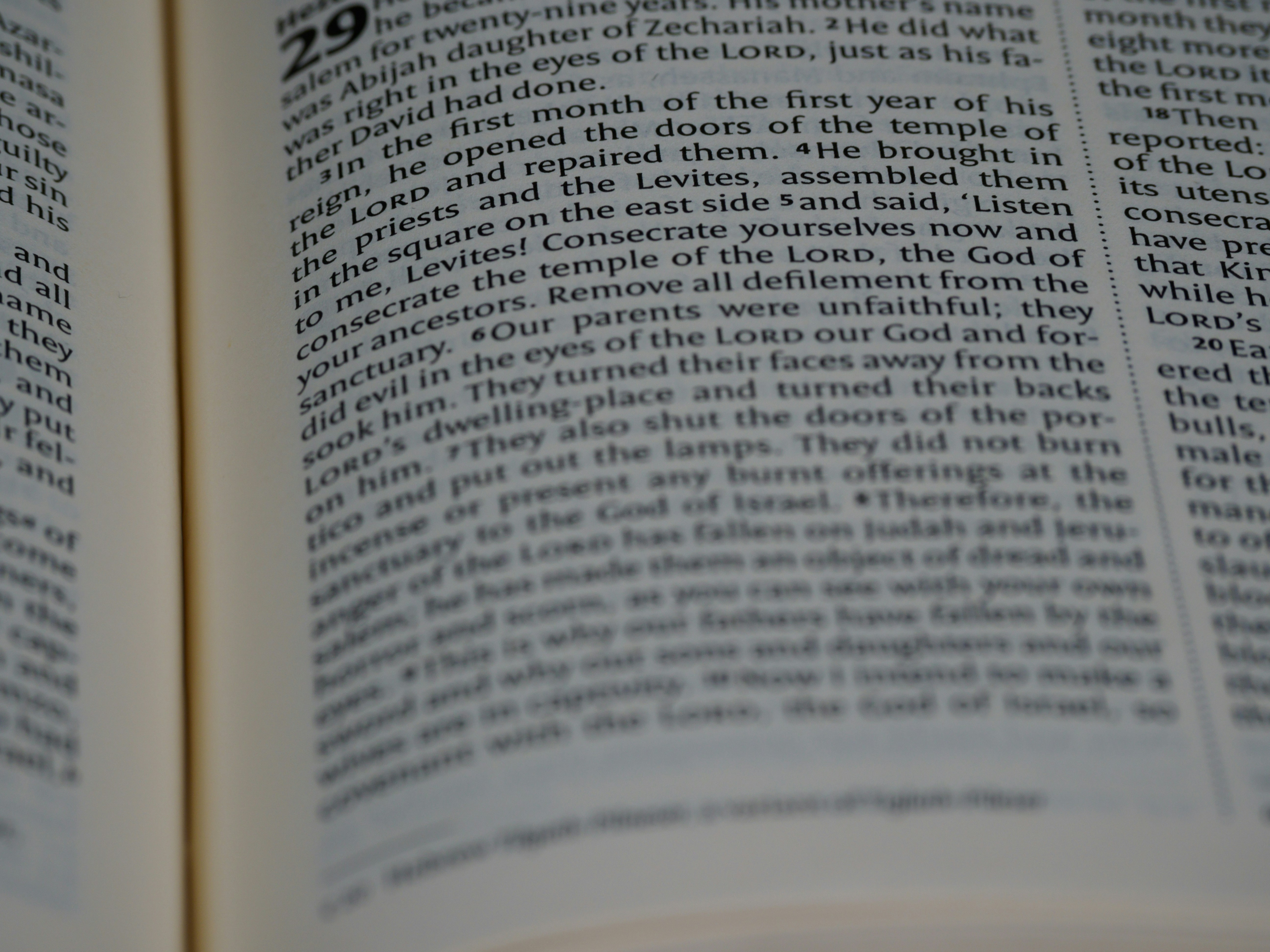 Photo by brett_jordan