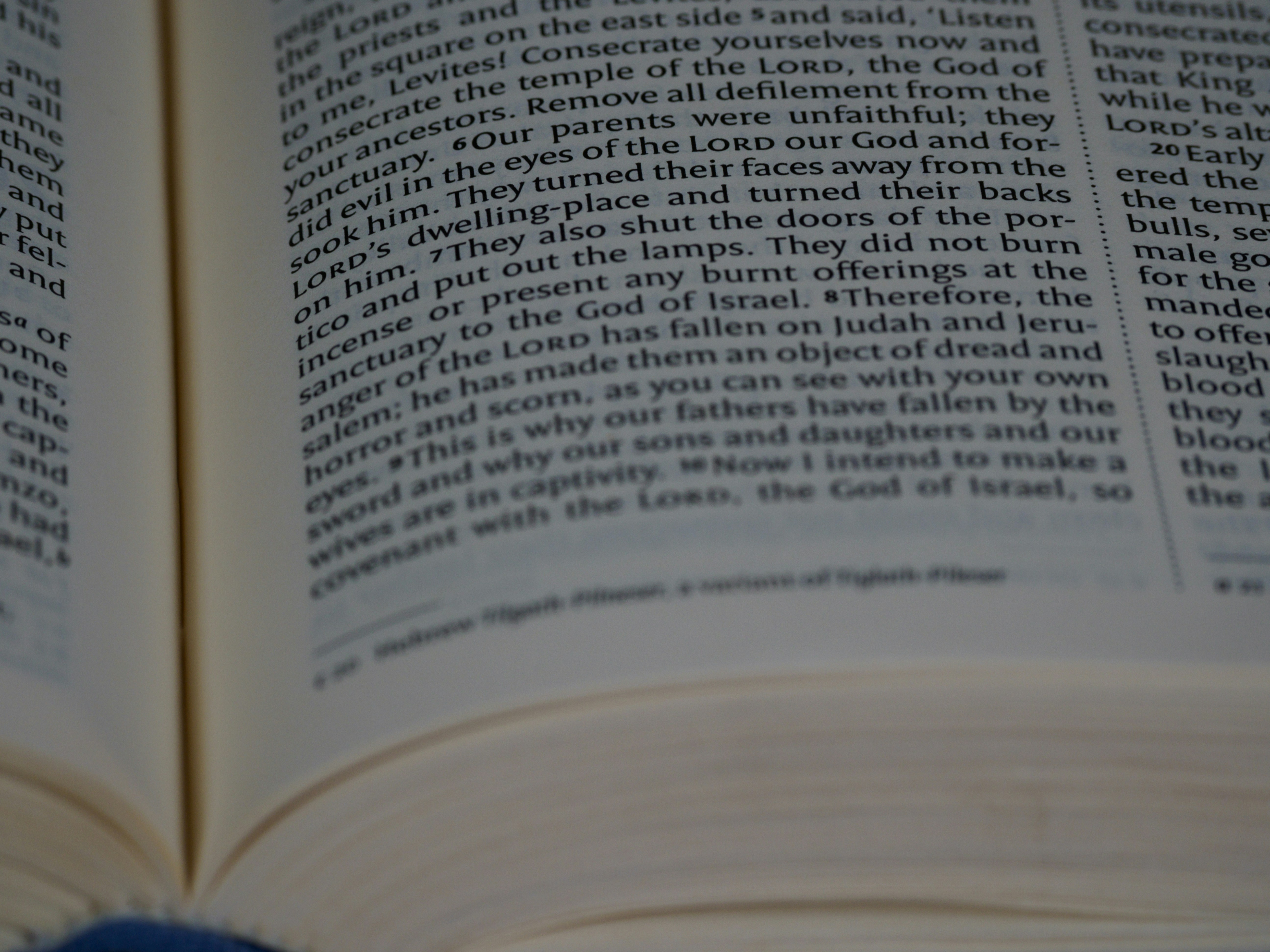 Photo by brett_jordan