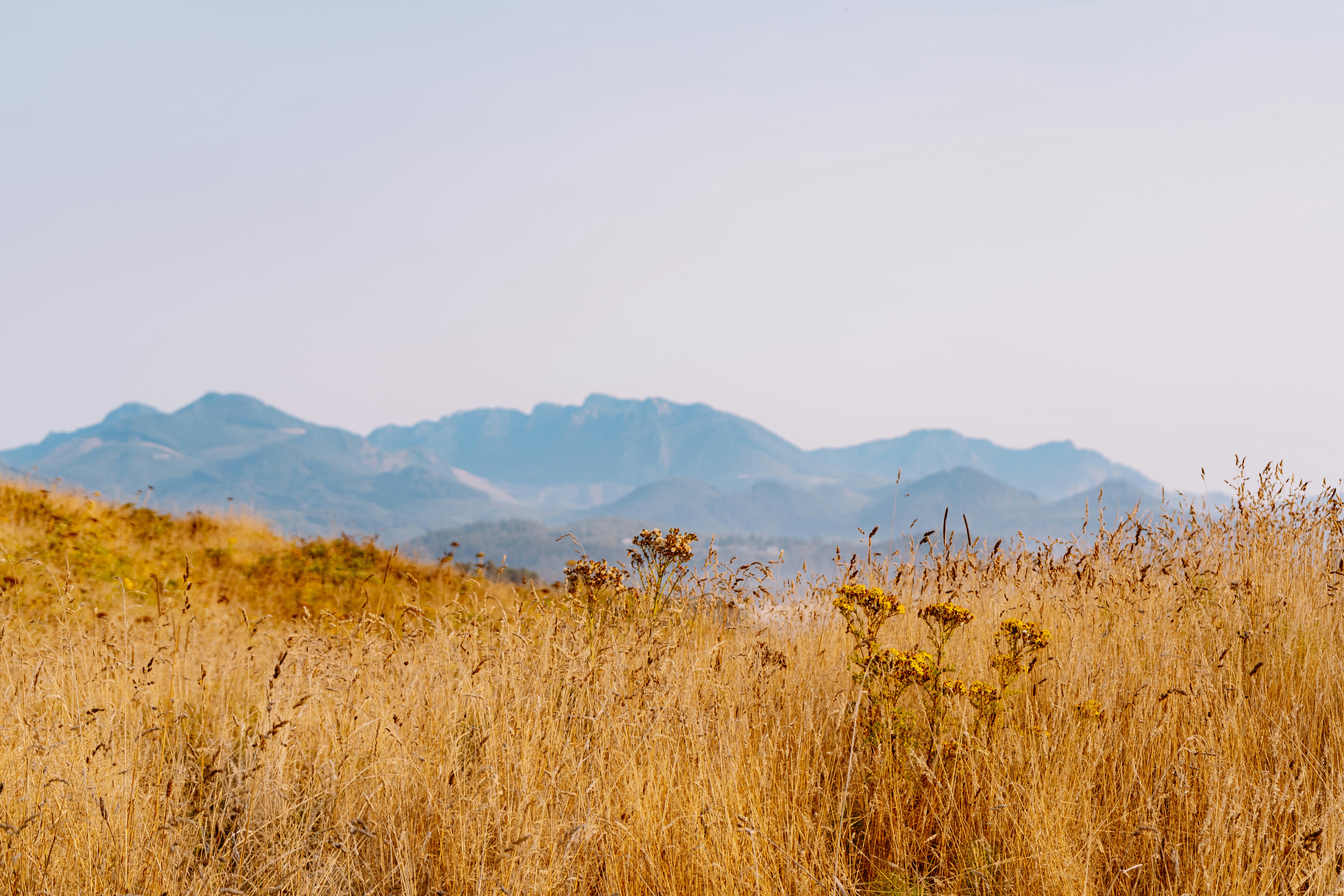 Photo by anewevisual