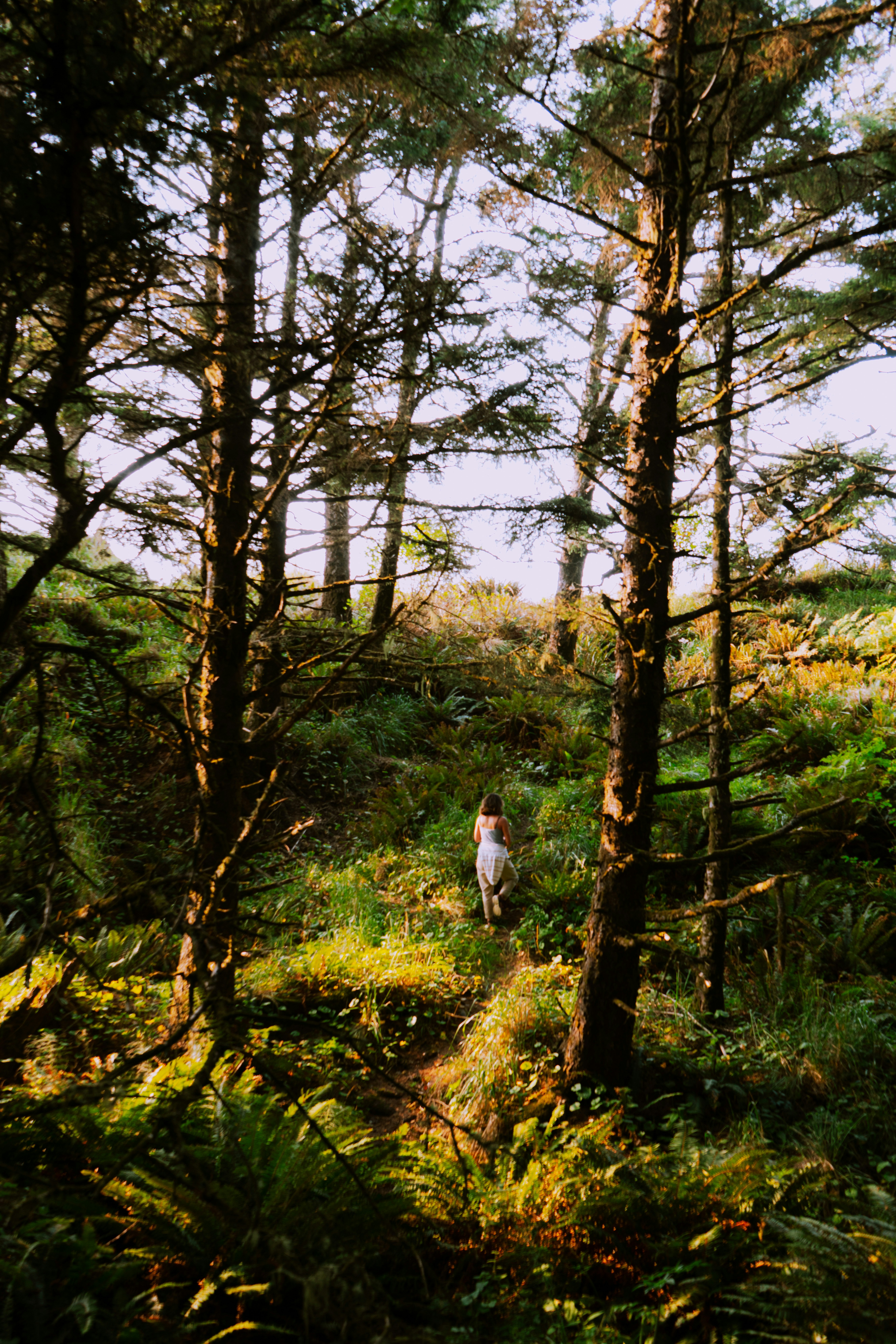 Photo by anewevisual