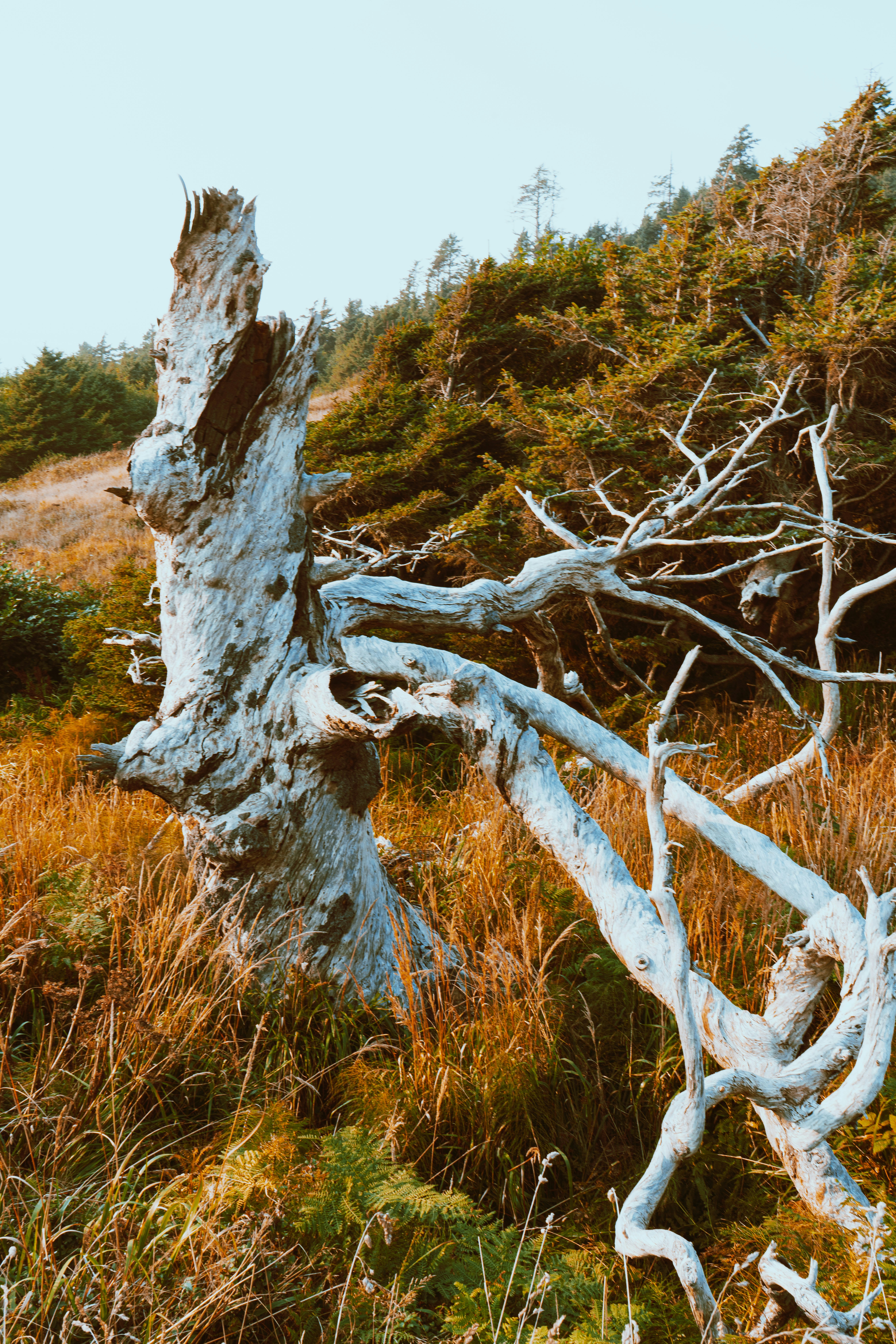 Photo by anewevisual