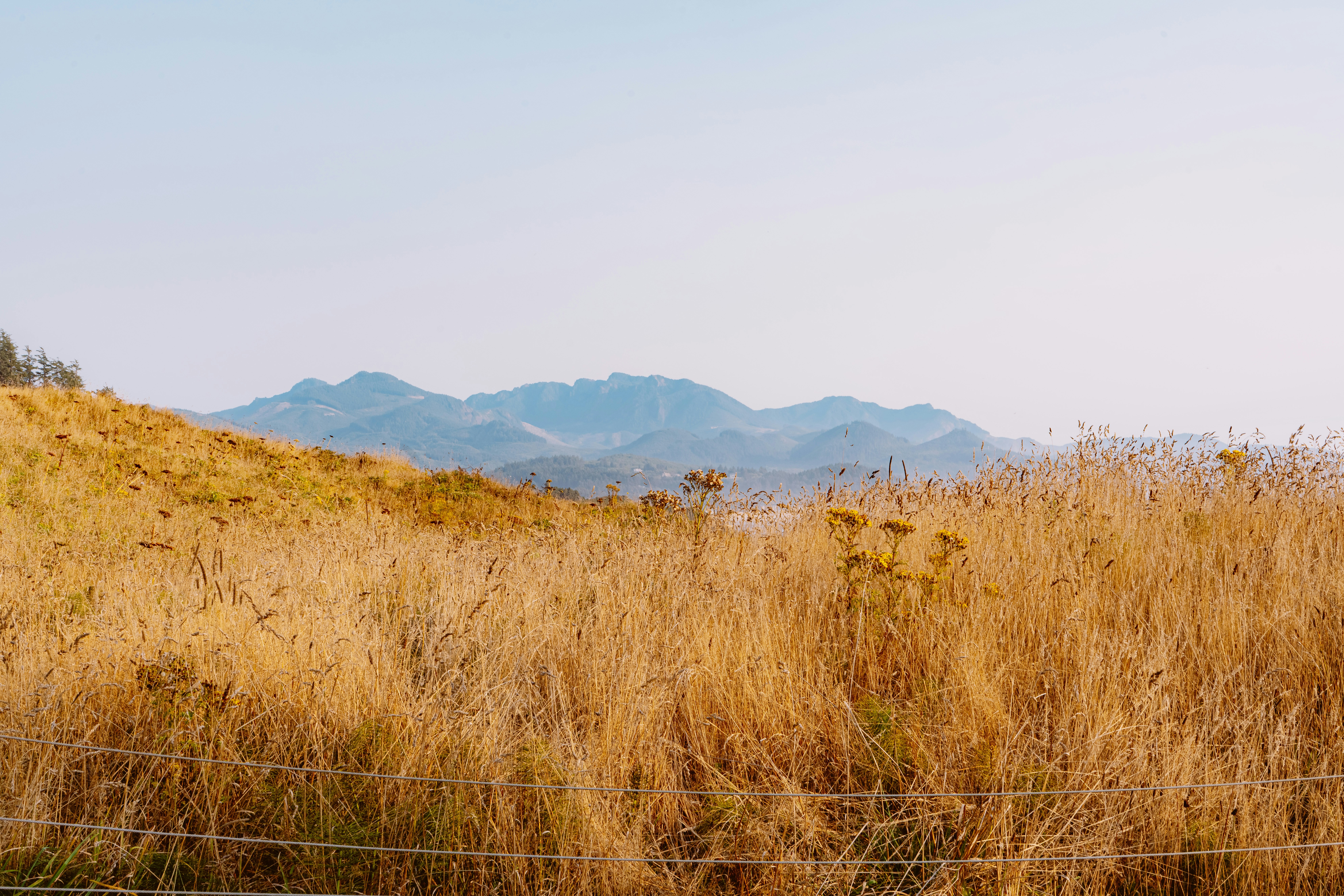 Photo by anewevisual