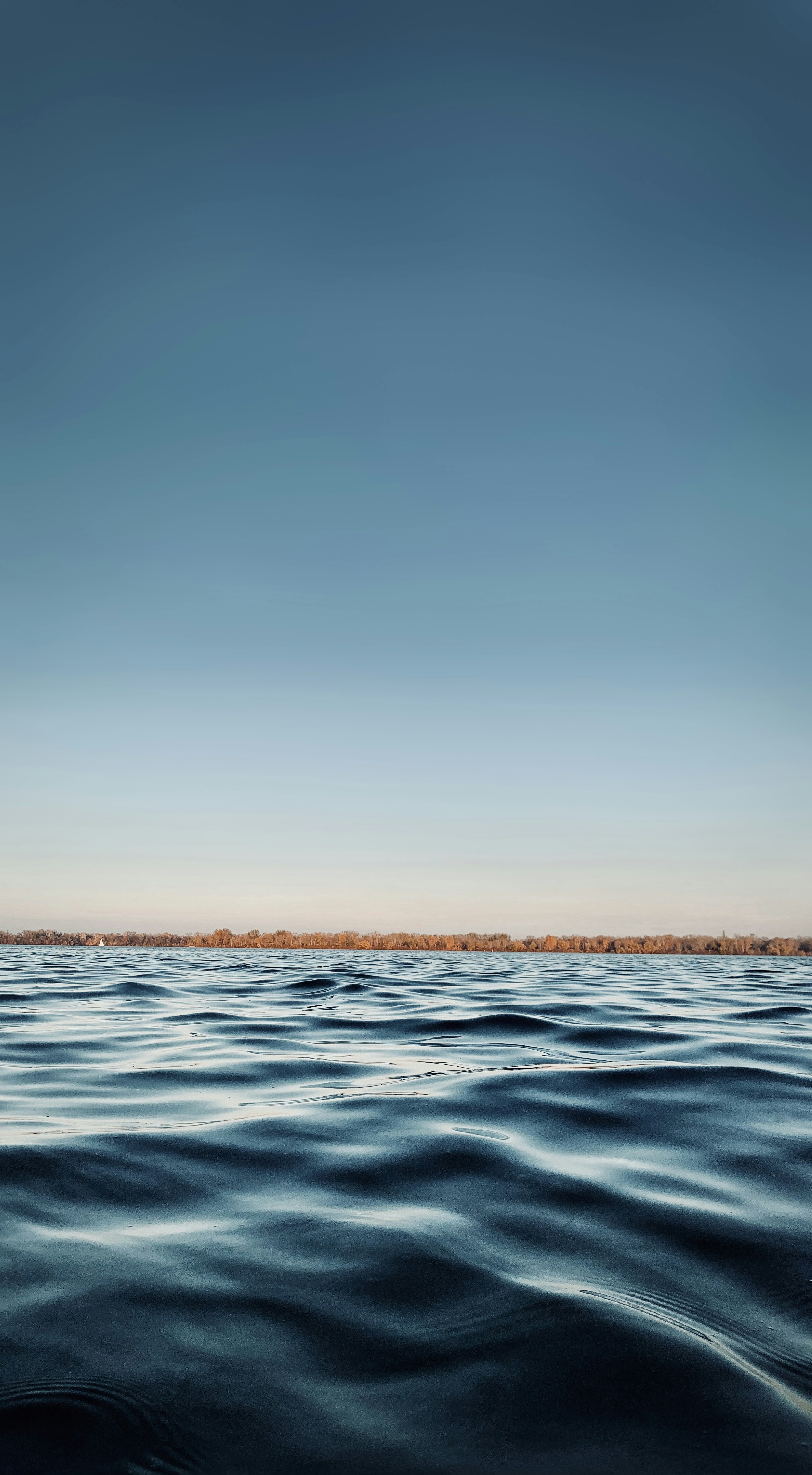 Photo by arthur_oleynik