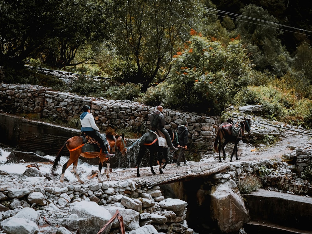 a group of people riding horses across a river