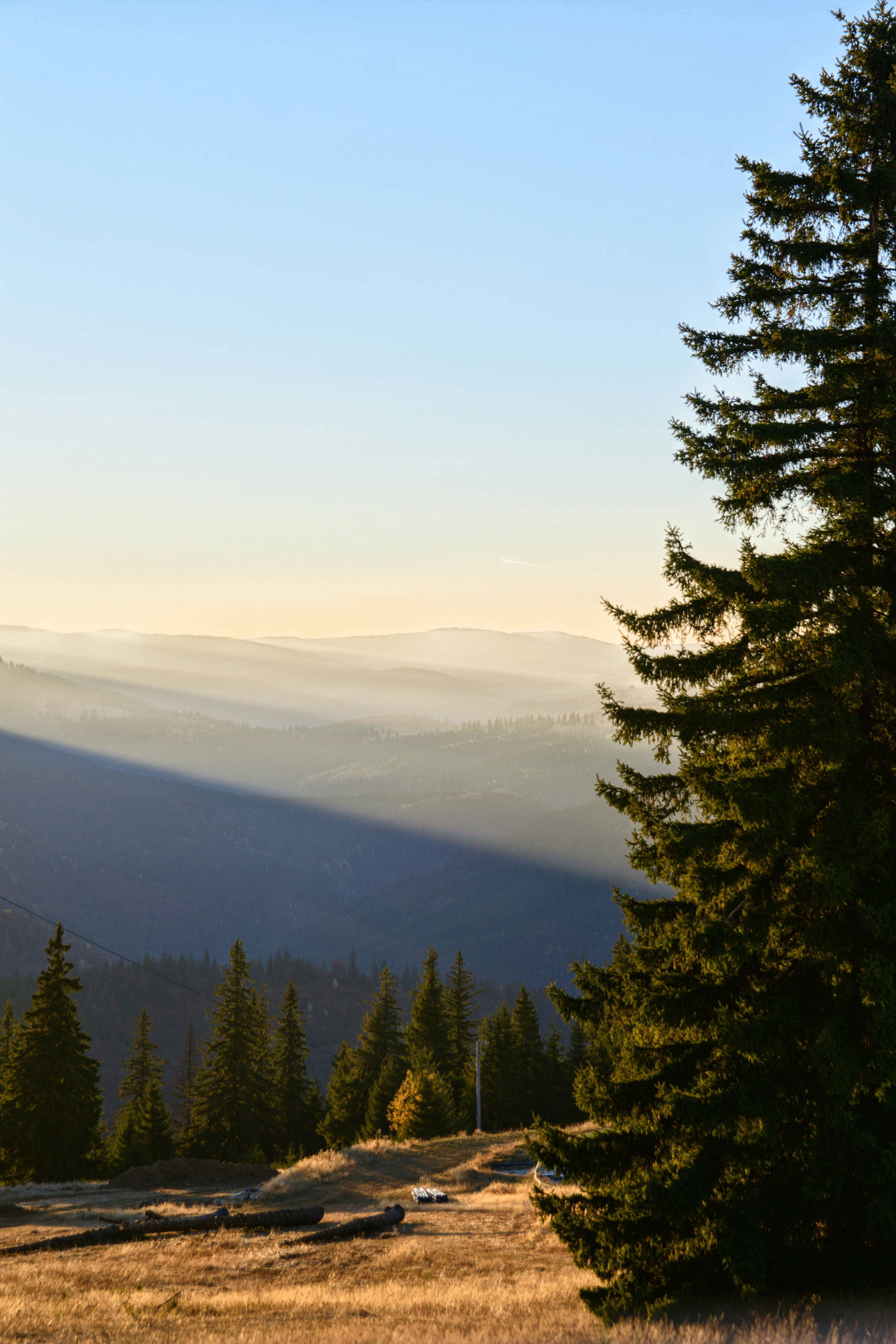 Photo by stefaniacolpos