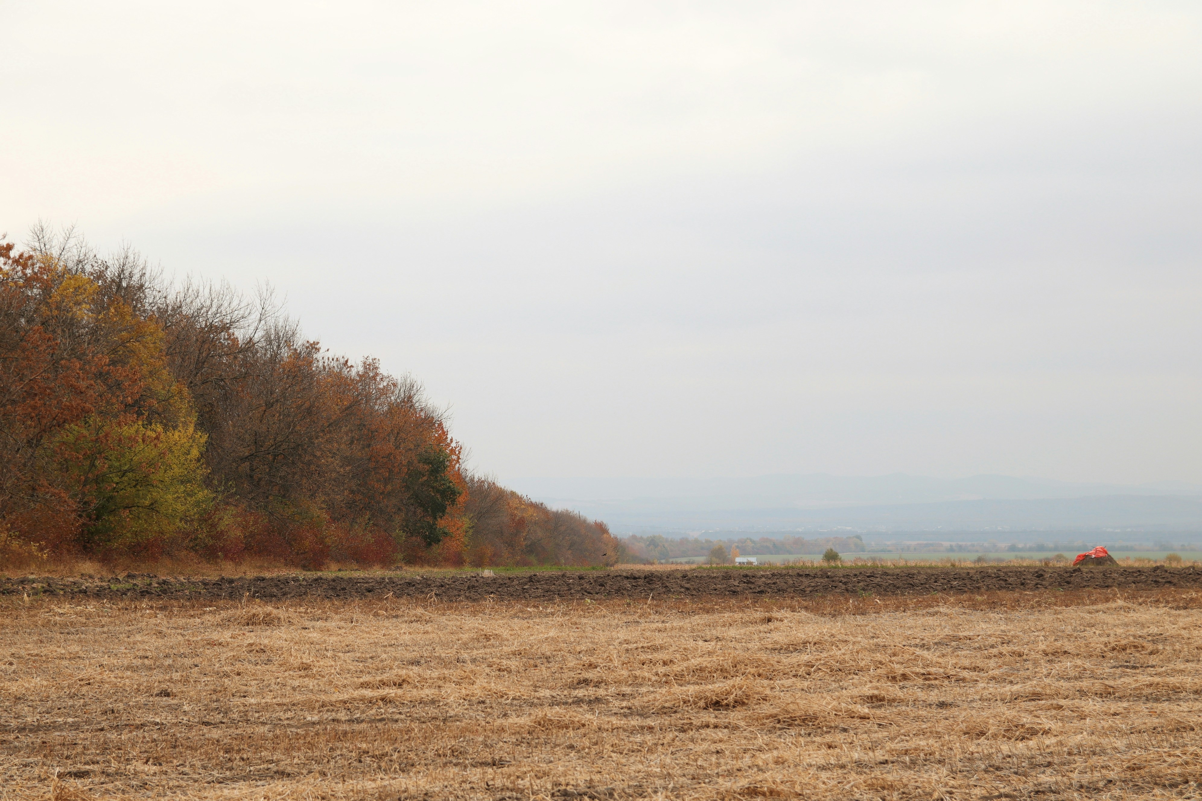 Photo by feeling_hope