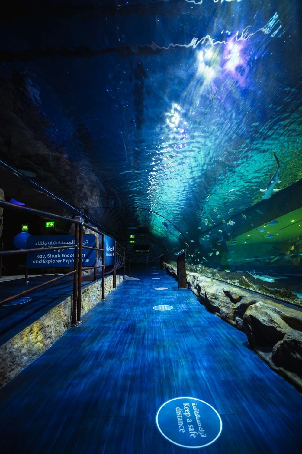 a tunnel that has a blue floor and a blue sky